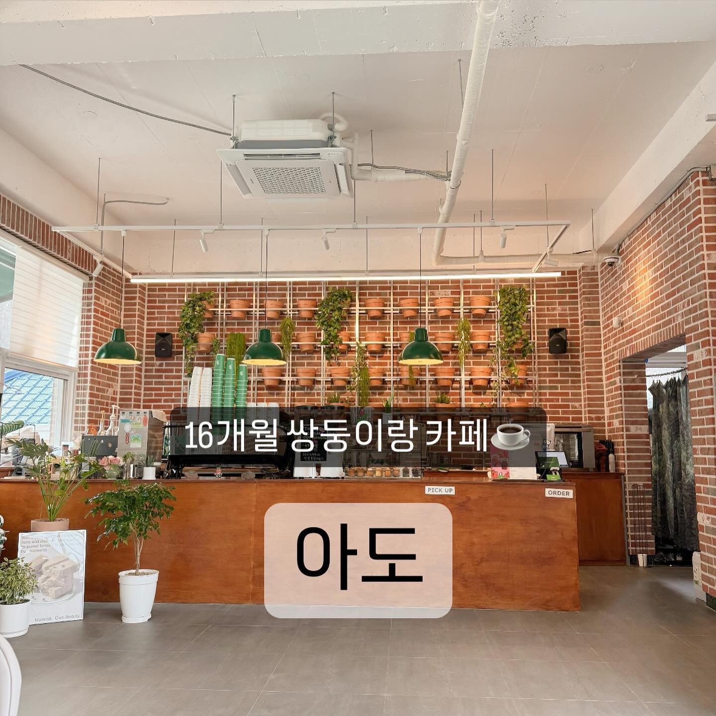 도심 속 정원카페🪴

햇살 가득한 쉘터에서
아가들이랑 잠시 쉬어갈 수 있는,
아기의자랑 기저귀 갈이대까지 완비된 곳이에요👨‍👩‍👧‍👦

🍃 아도 🍃

📍위치 : 전북특별자치도 전주시 덕진구 어은골5길 19-2

📍운영시간 :
매일 11:00 ~ 21:00 (20:30 라스트오더)
매주 월요일 정기휴무

📍제제맘이 알려드리는 꿀팁 💫
ㆍ 주택가 골목 안쪽에 있어서 길이 좁으니 운전은 조심조심❕
ㆍ 계단이 많아 어린 아가 친구들은 조심해야할 것 같아요,
1층이나 야외정원에서 노는 것 추천합니다 👍🏻
ㆍ 기저귀 갈이대는 2층 여자화장실 안쪽에 있어요 😃

앞으로 더 다양한 육아정보 공유할께요 !
같이 공유하고 소통하며 지내요❤️

￣￣￣￣￣￣￣￣￣￣￣￣￣￣￣￣
👋 다양한 육아 정보가 궁금하다면
_jejetree 팔로우 꾸~욱 !
❤️ 정보가 도움이 되셨다면 좋아요!
🔰 다시 보고 싶다면 저장!
💌 주변에 추천하고 싶다면 공유!