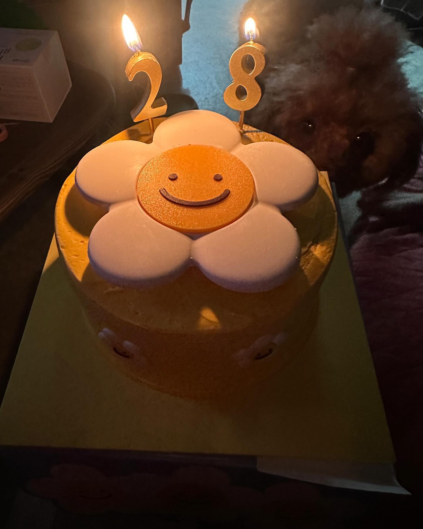 작년에 이어 올해도 28살 입니다.
축하해주신 모든 분들 감사룽 합니다. 헤헷