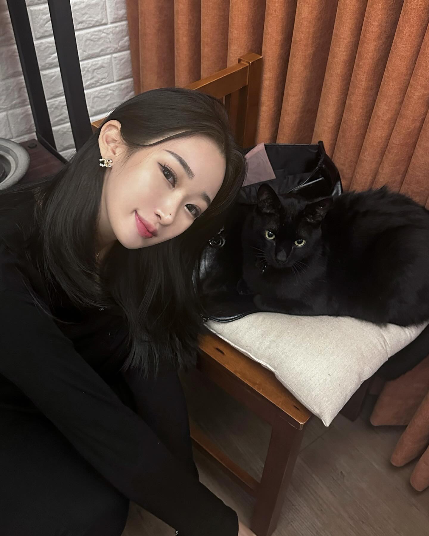 이류경고양이 발견