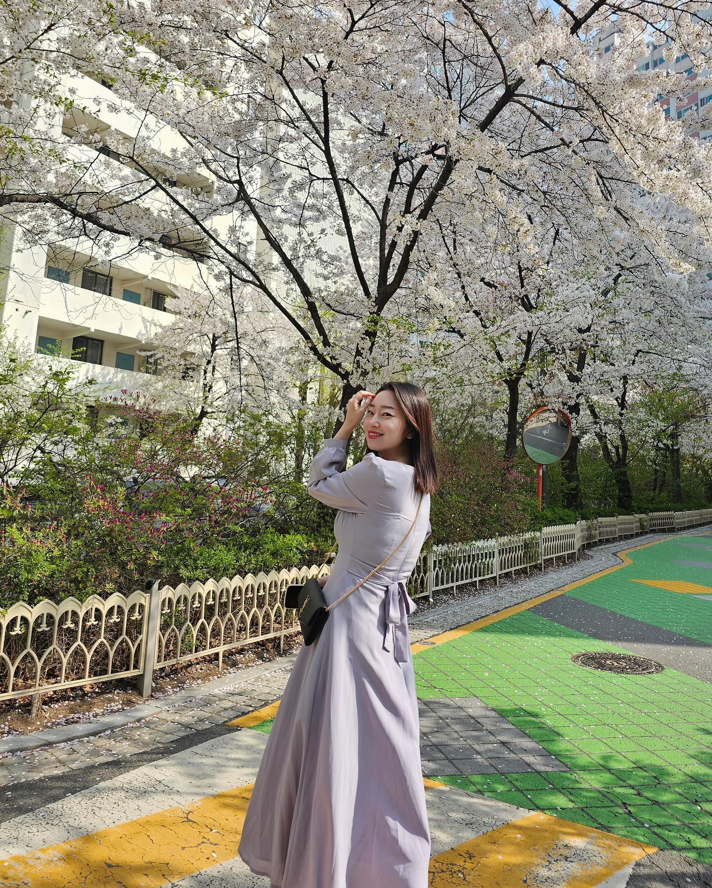 게으름뱅이가 5월에 올려보는 벚꽃사진🌸