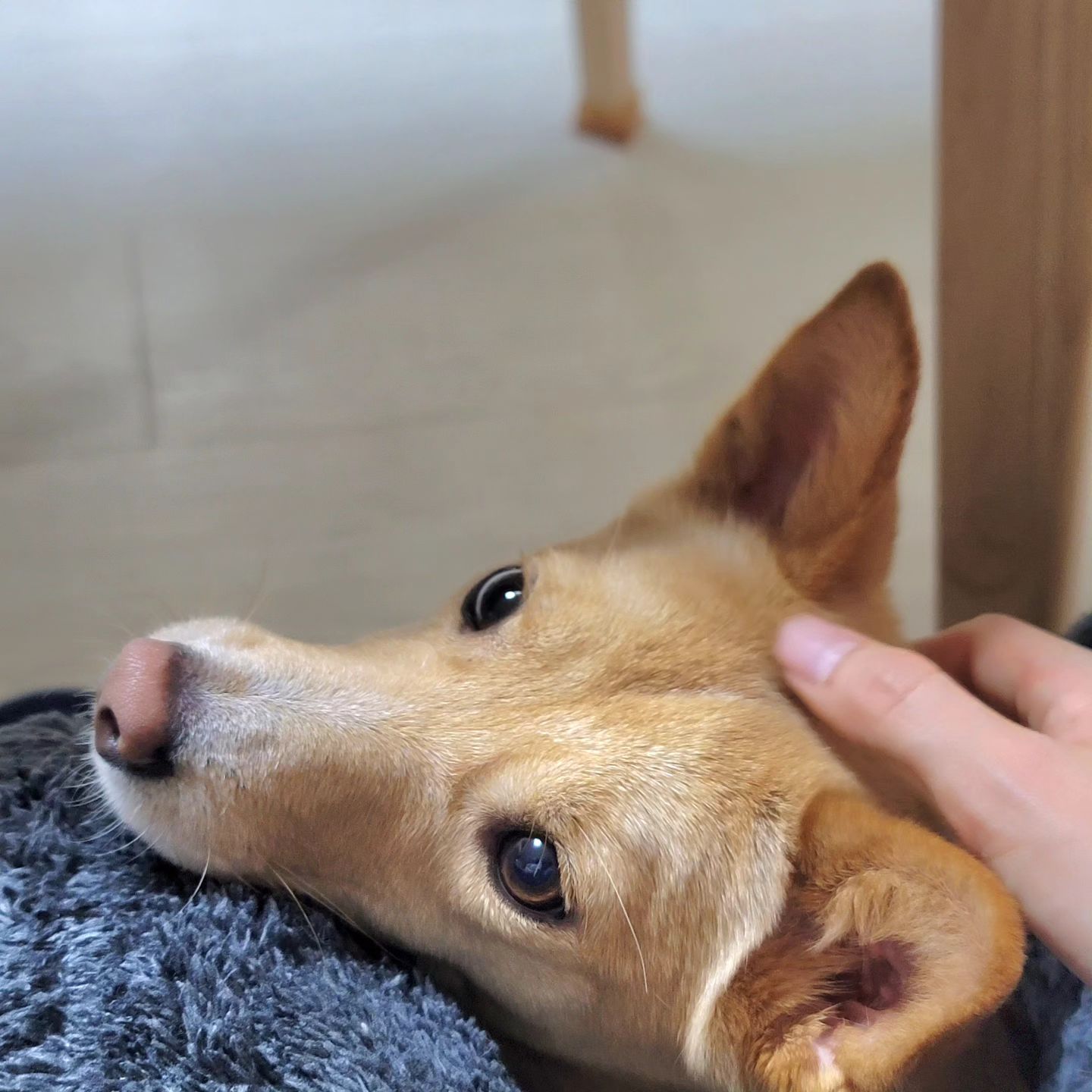 ♡