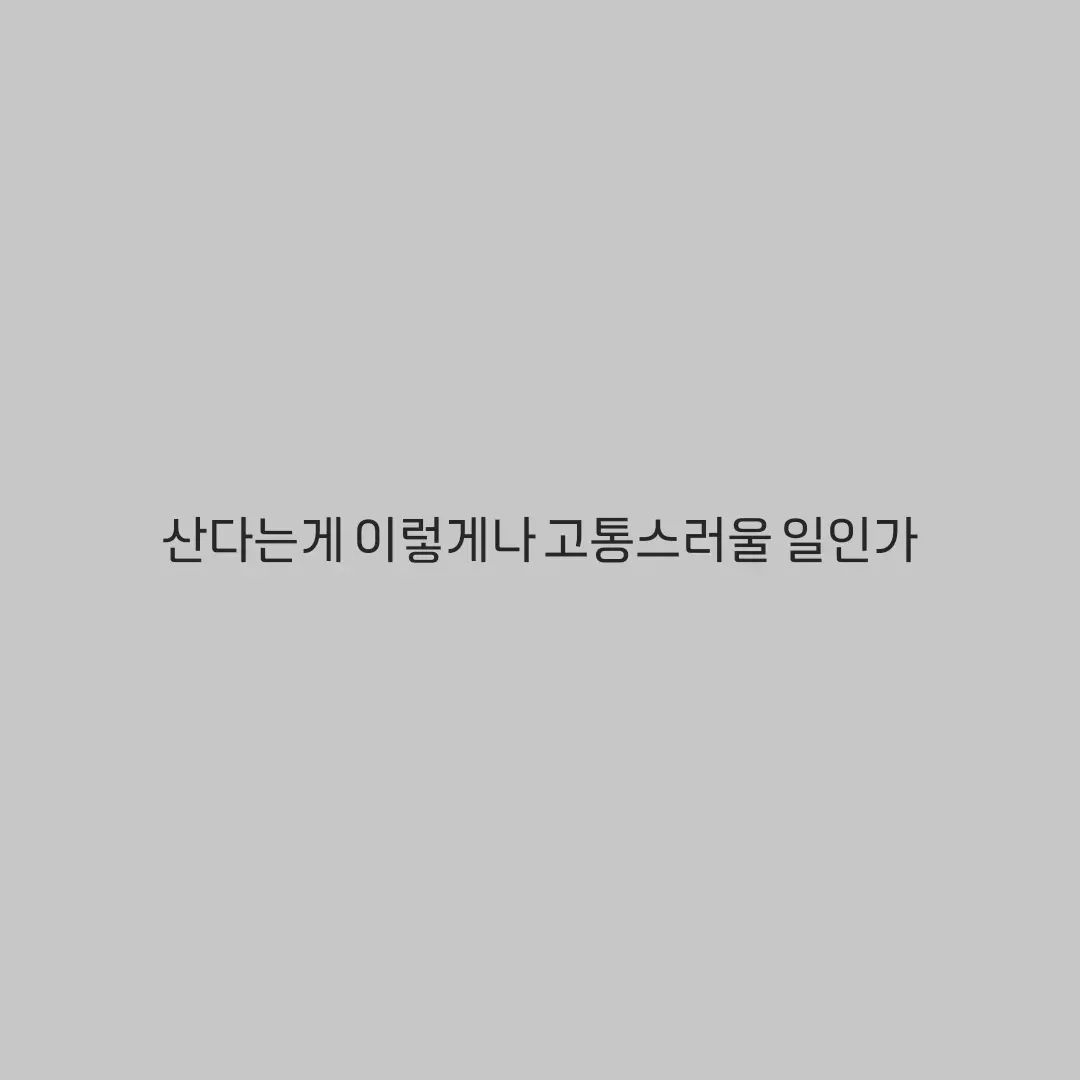 콘텐츠
