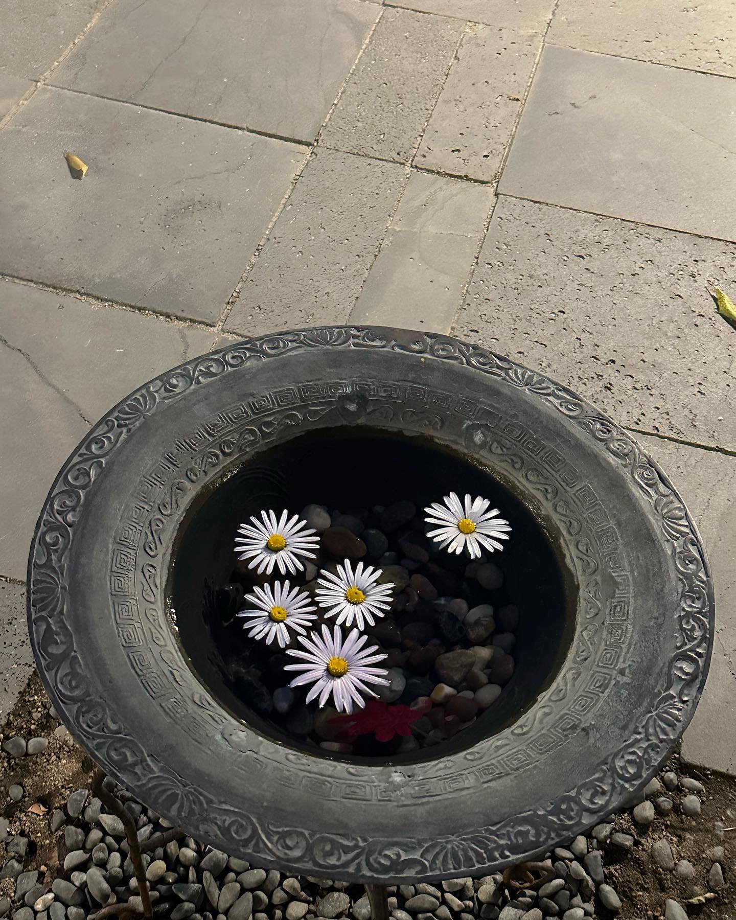 콘텐츠