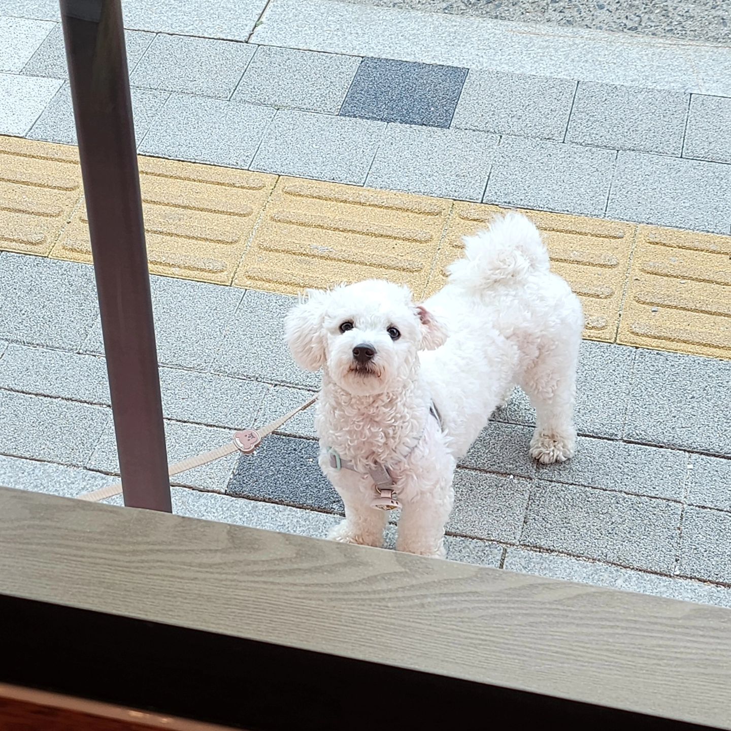 #풀빵이 
옹니 언제 나와...? 빵을 하루 종일 사?