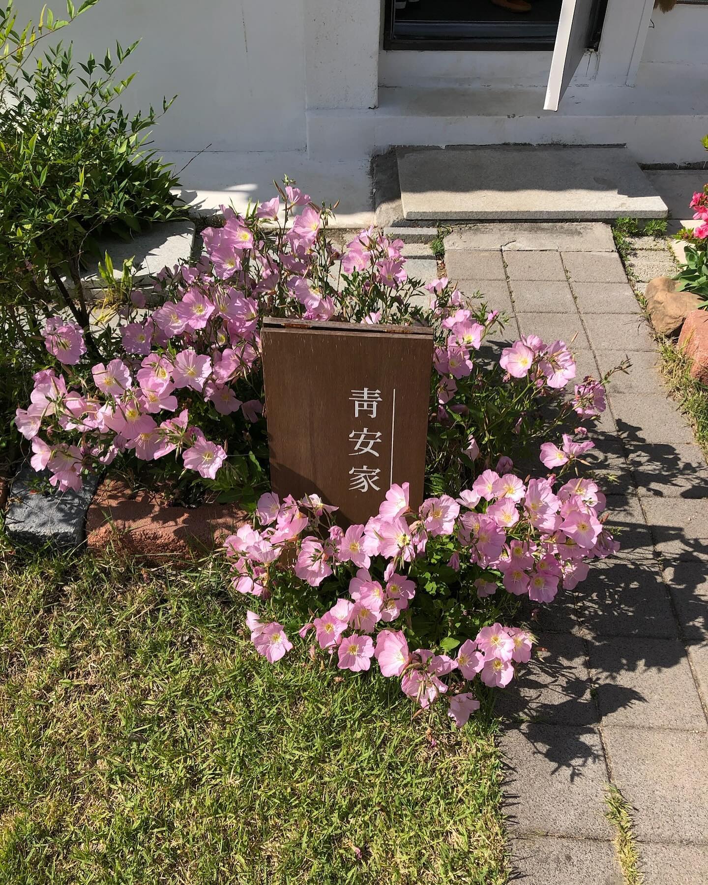 10장으로는 모자란 chungan_house 의 감성 🌿🌸🏠