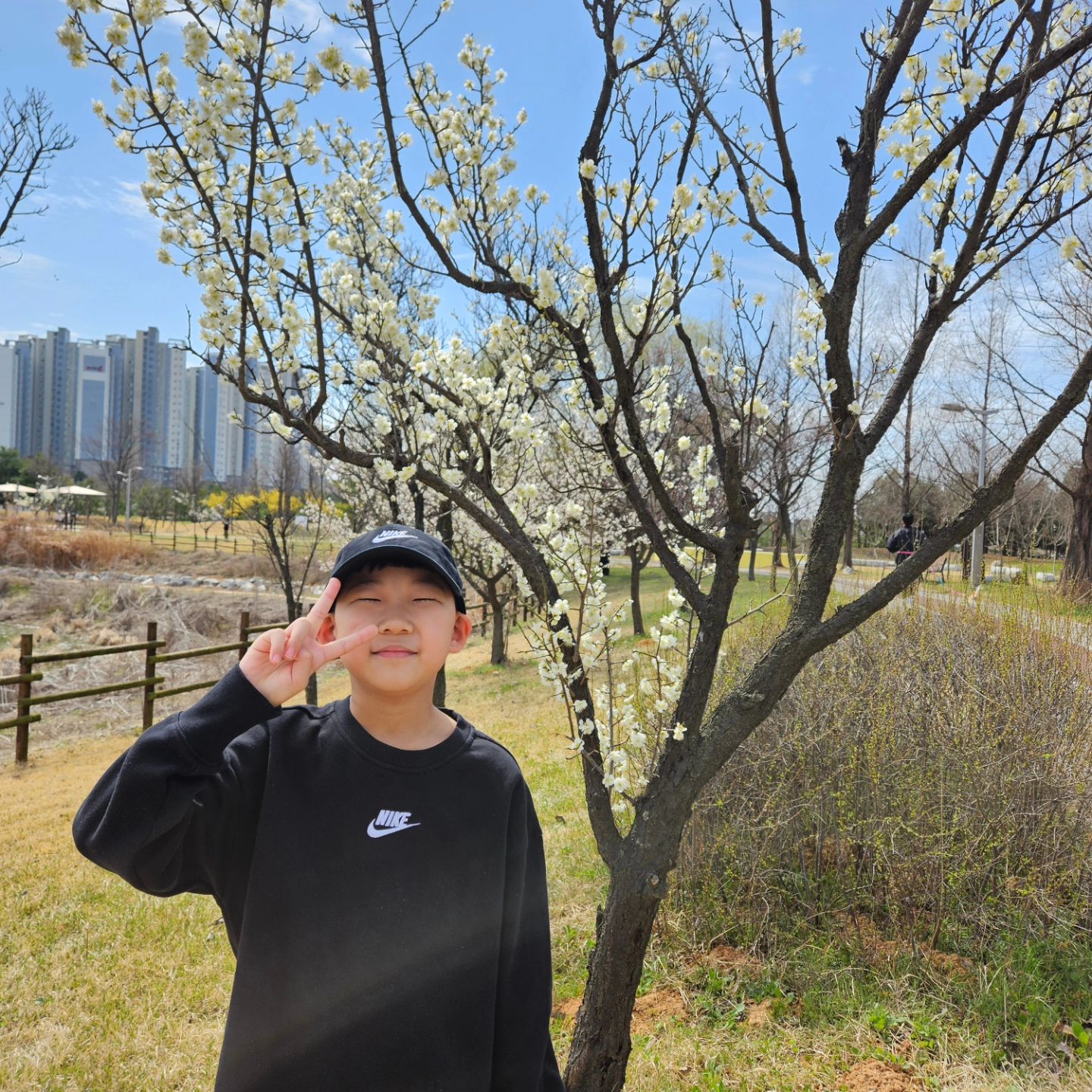 #공원산책 #꽃피는봄 #학교가는길 #소중한일상