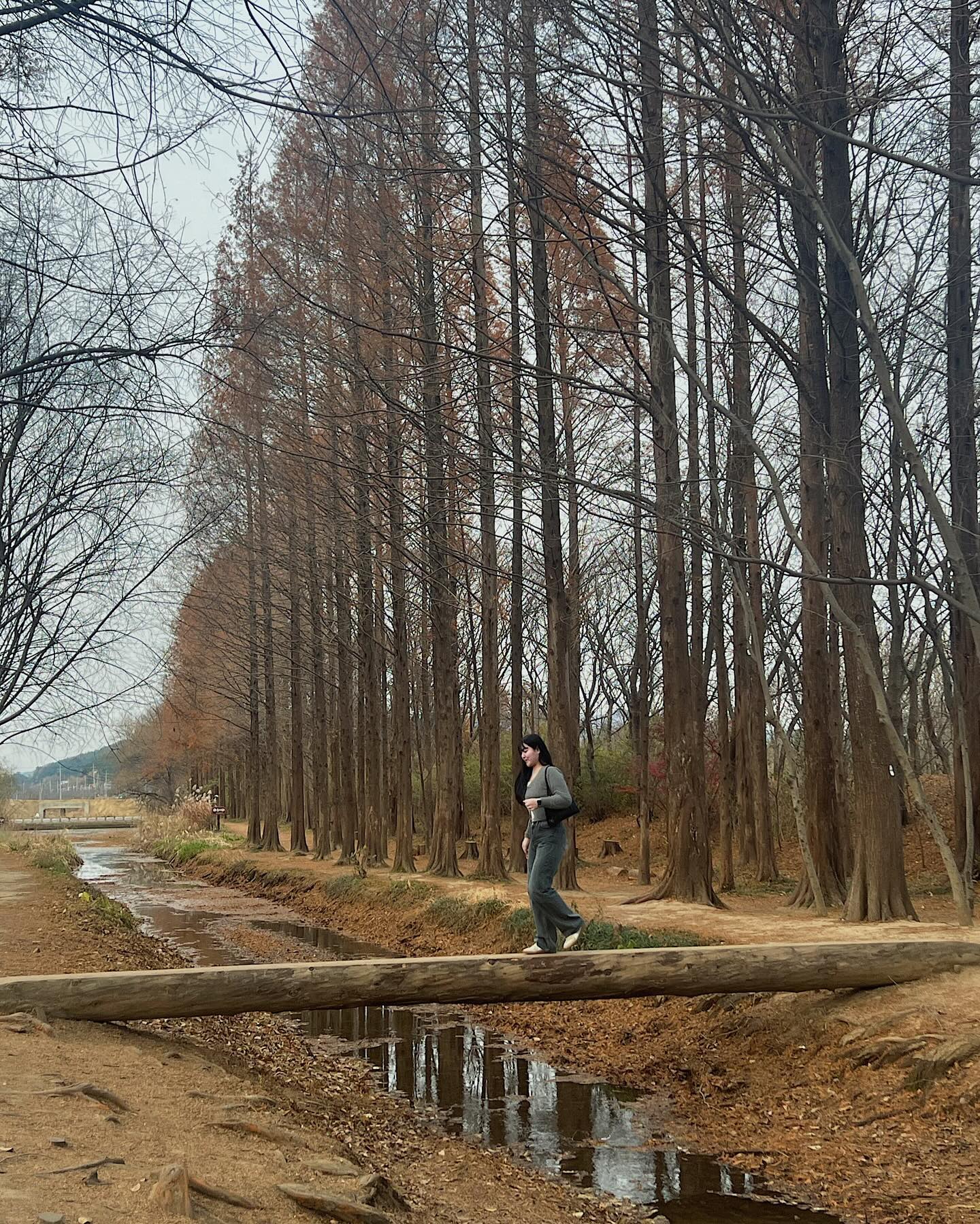 🍂

#instagram #instadaily #소통 #소통환영 #팔로우 #팔로잉 #좋아요 #좋아요반사 #일상 #데일리 #daily #selfie #selca #셀피 #셀카 #셀스타그램 #선팔 #맞팔 #선팔맞팔 #선팔하면맞팔 #follow #인친 #인친환영 #대구 #03 #20 #다렉 #ootd #韩国人 #간호학과