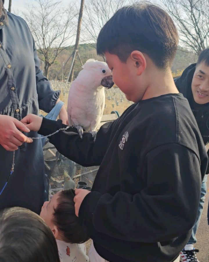 오랜만에 주말 근황😝

루비(엄마집에서 키우는 반려견)를 보고 싶다고
해서 친정집을 갔는데..

공원에서 만난 유황앵무새 주인에게
만져봐도 되냐고... 본인팔에 올려달라고..
당당하게 요청하시는 2학년 엉아님🤣🤣

엄마 아빠한테 말도 없이 가 있어서...
엄빠 당황했다 ㅋㅋㅋㅋㅋㅋㅋㅋㅋㅋ

동물 너무 좋아하는 아들 덕분에
엄빠도 신기한 영상 득템!!!

주말 친정에서 잘 놀고 집 와서도
놀이터 투어로 마무리 날씨가 다했던 주말😍😍