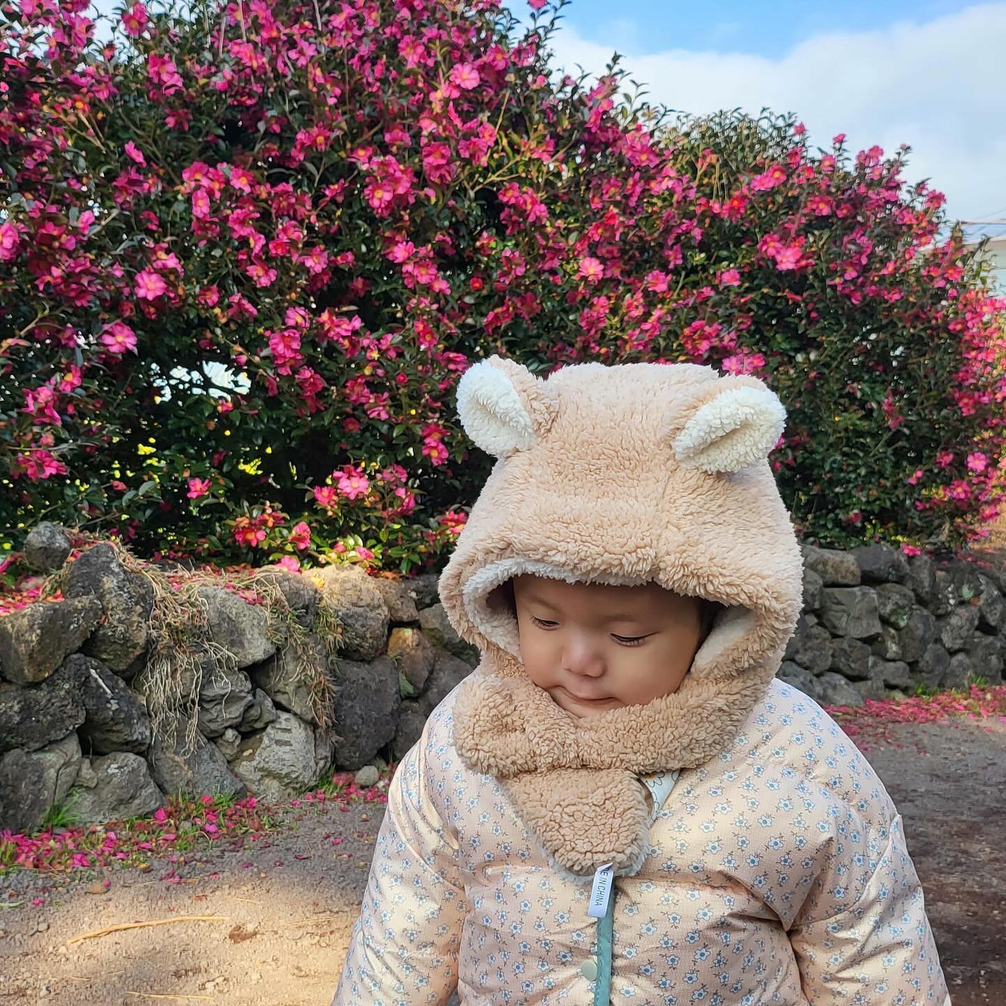 🌺동백꽃구경🌺