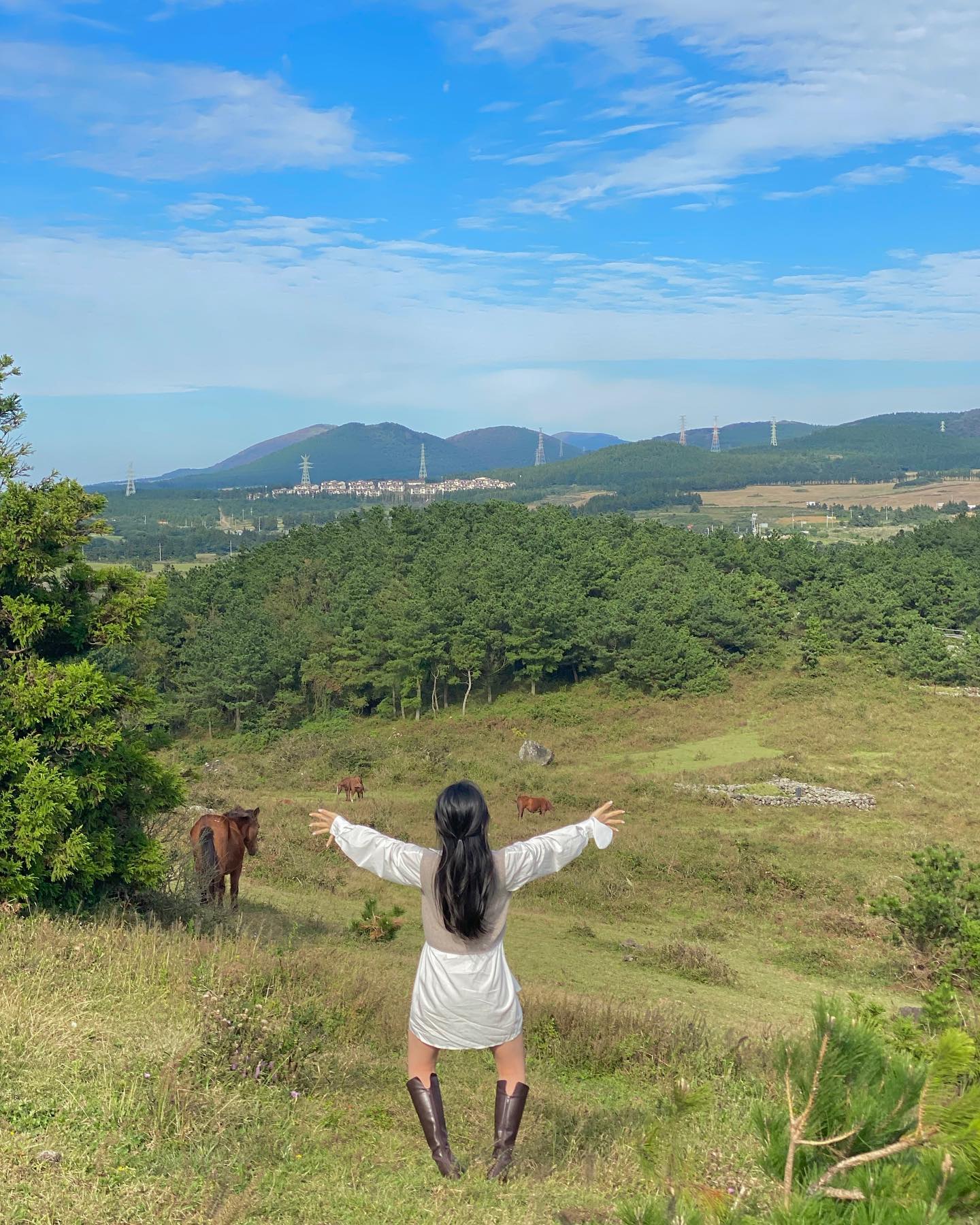 𝐽𝑒𝑗𝑢 
바람때문에 얌전한 사진이 없네 😬

1. 얼굴이 아플 지경이라 모든걸 포기
2. 이런 용도가 아니었고,,
3. 말똥 밟을 뻔 함 웩

근데 이걸 또 다 찍은게 신기해,, browrim_uu
