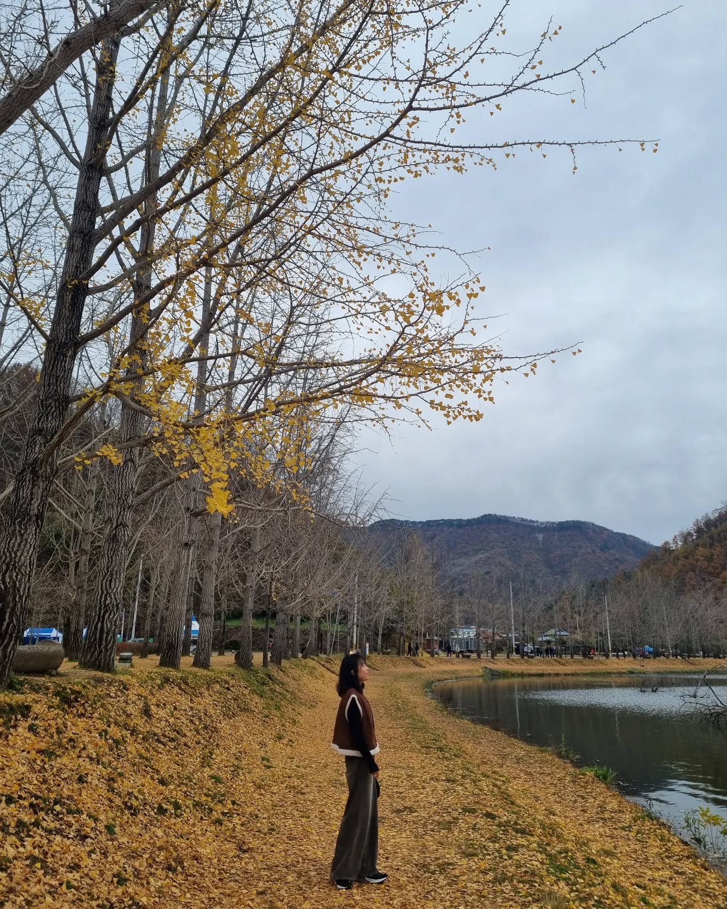 다떨어져도좋아🍁
.
.
.
#단풍 #다떨어졌네 #문광저수지 #은행나무길 #일상 #셀카 #daily #dailylook #ootd #ootdfashion #첫줄 #소통 #좋아요