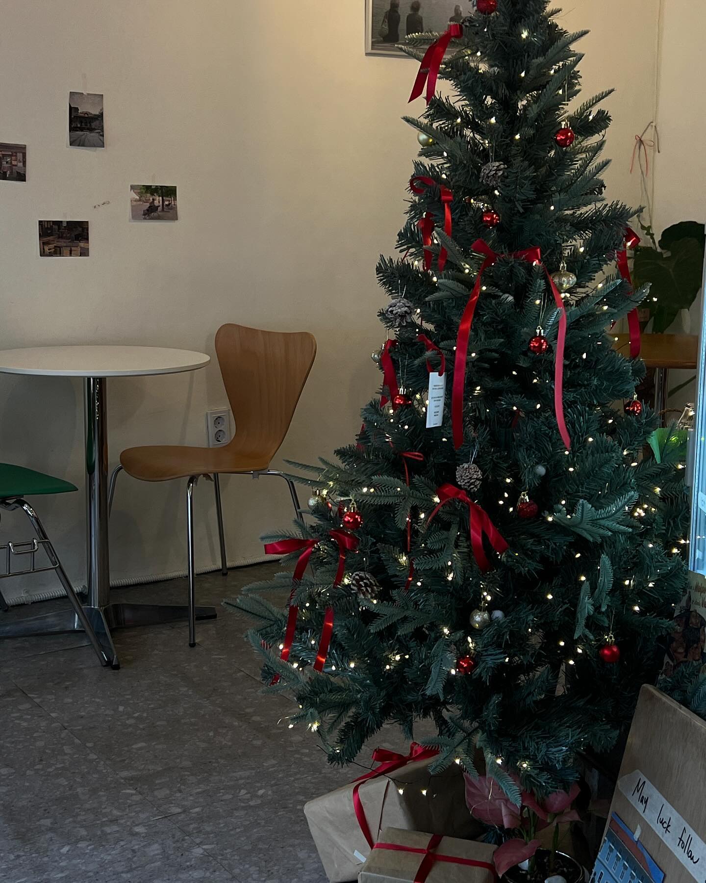 트리는 못참아 ⭐️🎄