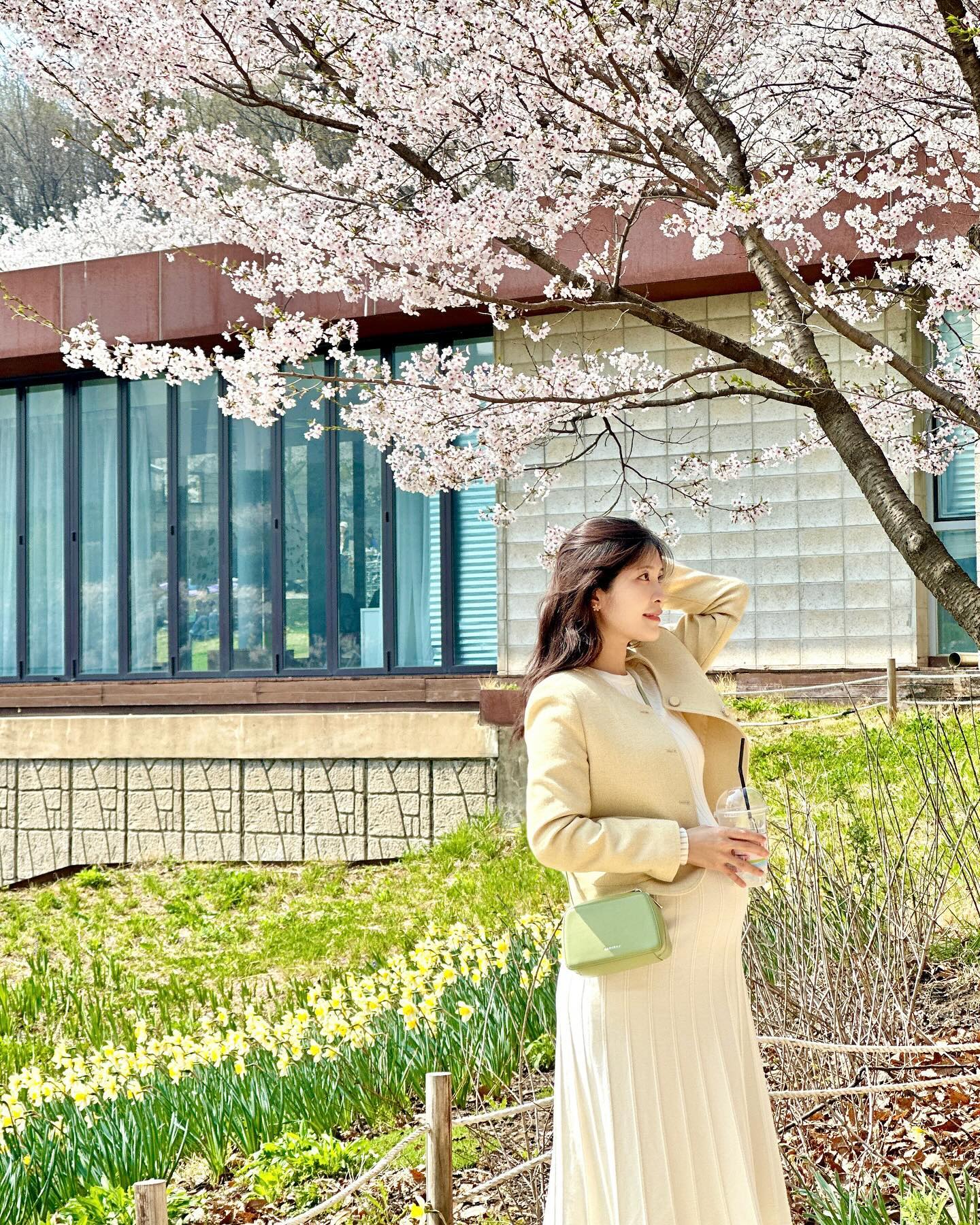 뒷북이지만 #만삭임산부 의 #벚꽃놀이 인증샷,,🌸 지금은 출산 후 푹 쉬는 중! 축하와 응원 너무 감사해요🫶🏻❤️