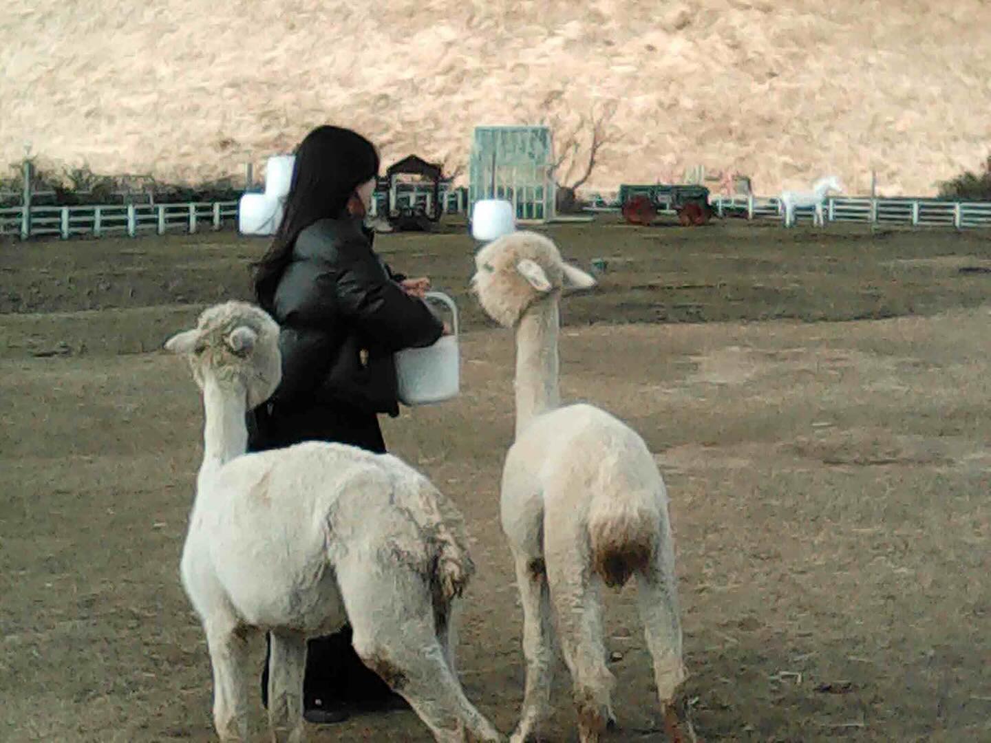 12월 어느날