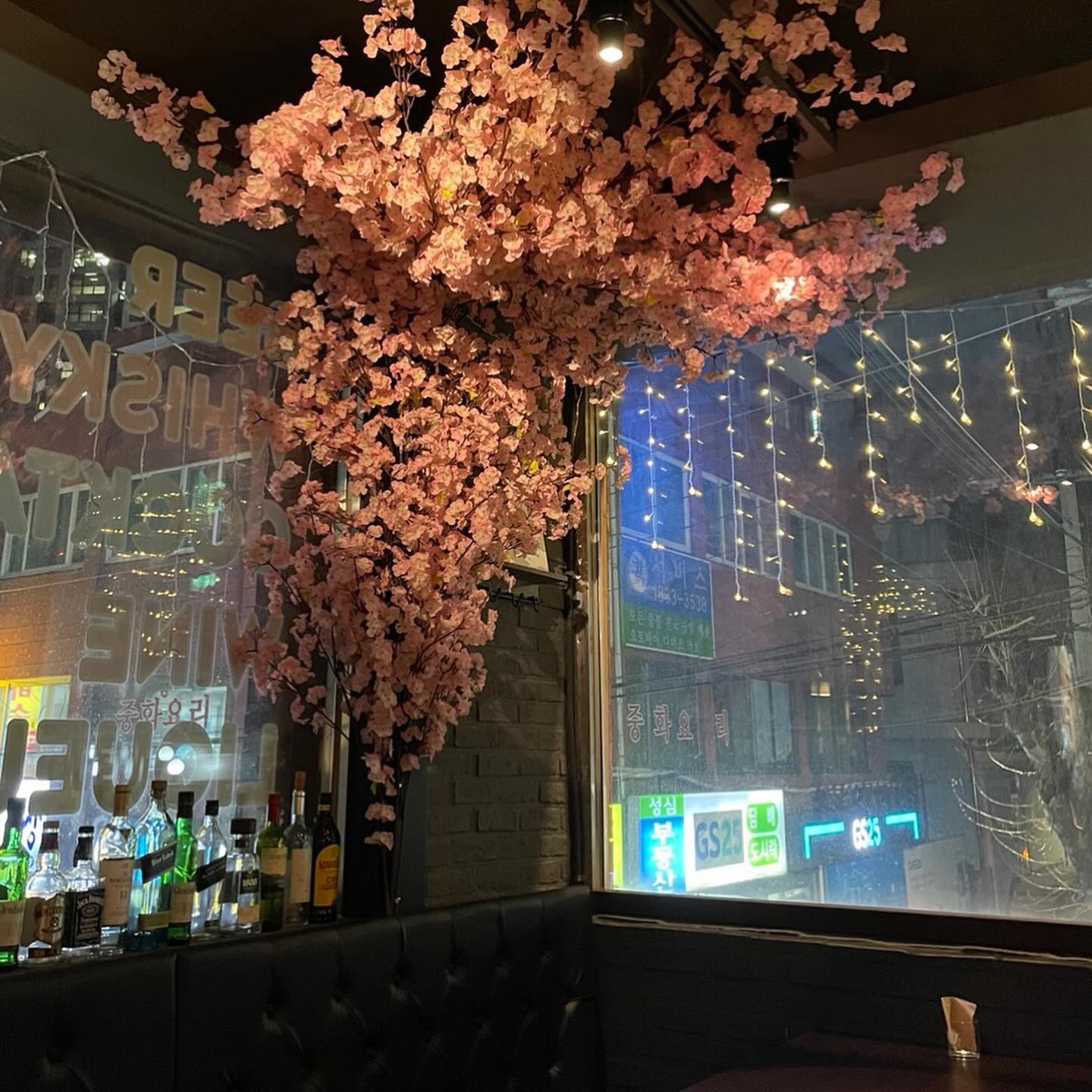 bara_pub 생맥 죠와 아구아 죠와