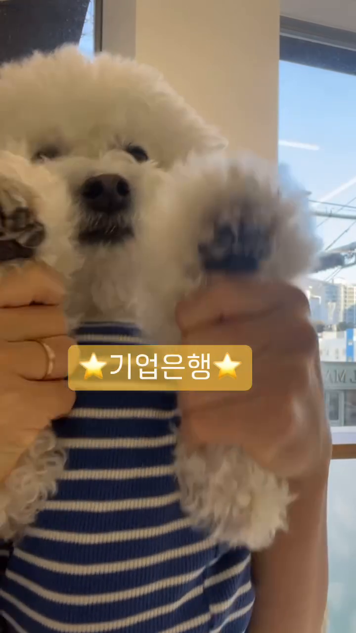 소온도 #은행플러팅