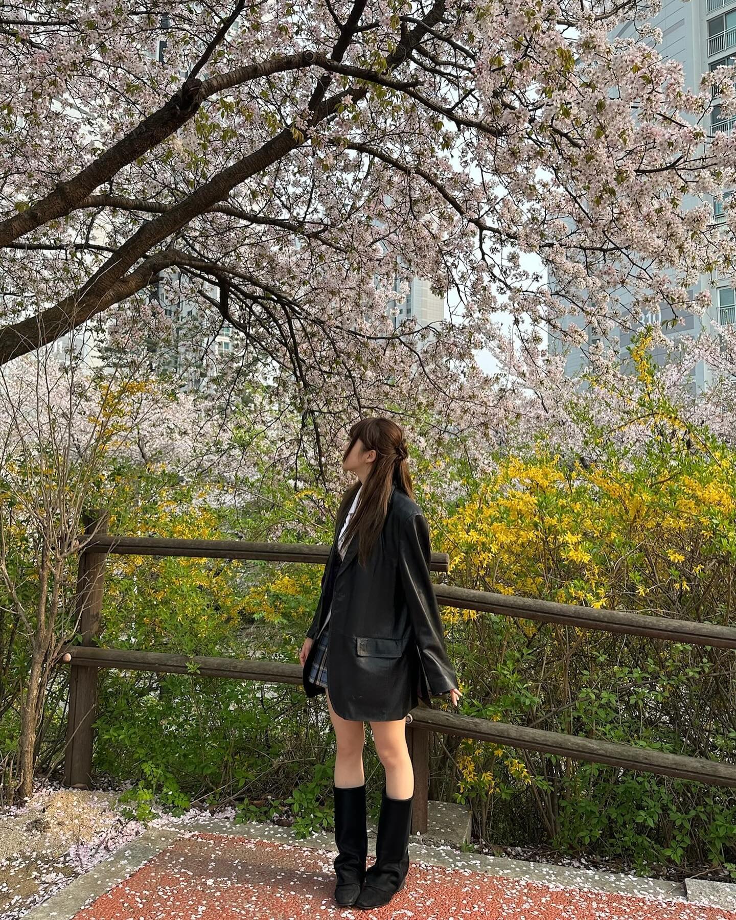 아슬아슬하게 벚꽃 구경 성공••🌸🤍

#성내천 #벚꽃길