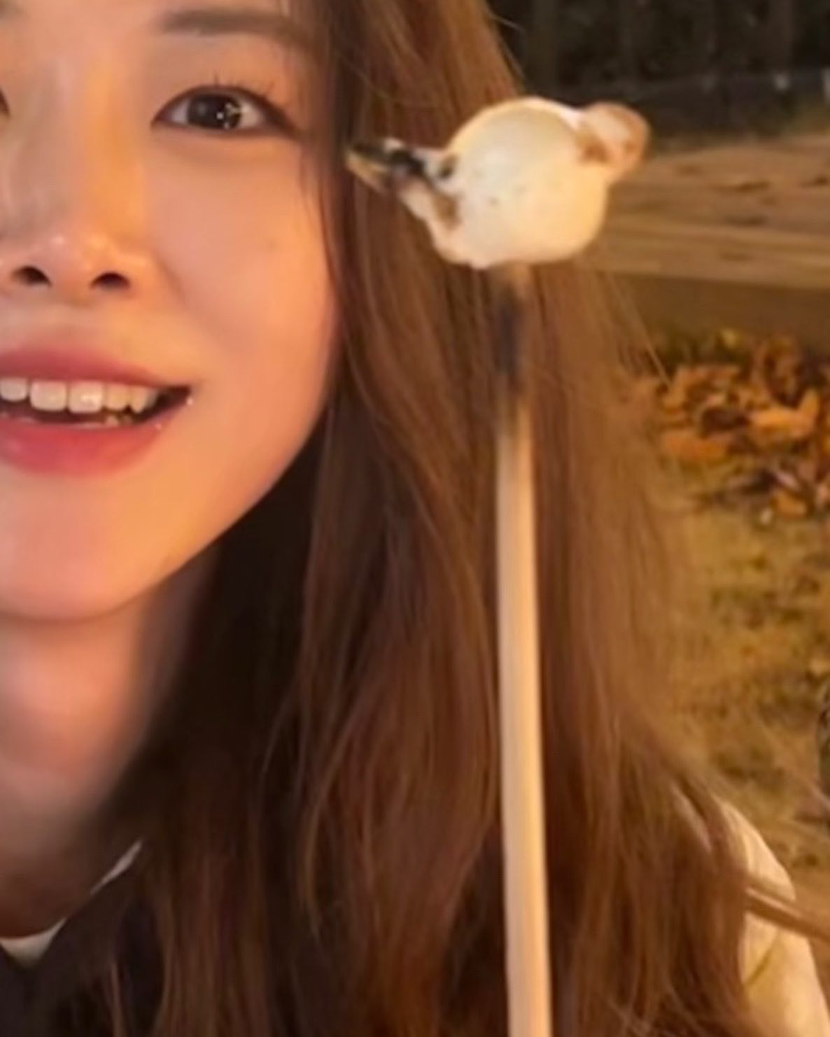 바보같지만 맘에드는 글램핑 모음zip

글램핑 중독자의 단골 글램핑장 ,, instarglamping