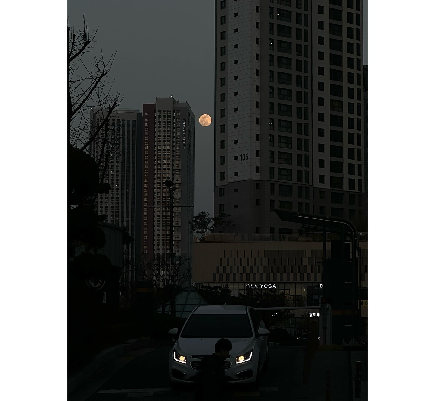 콘텐츠