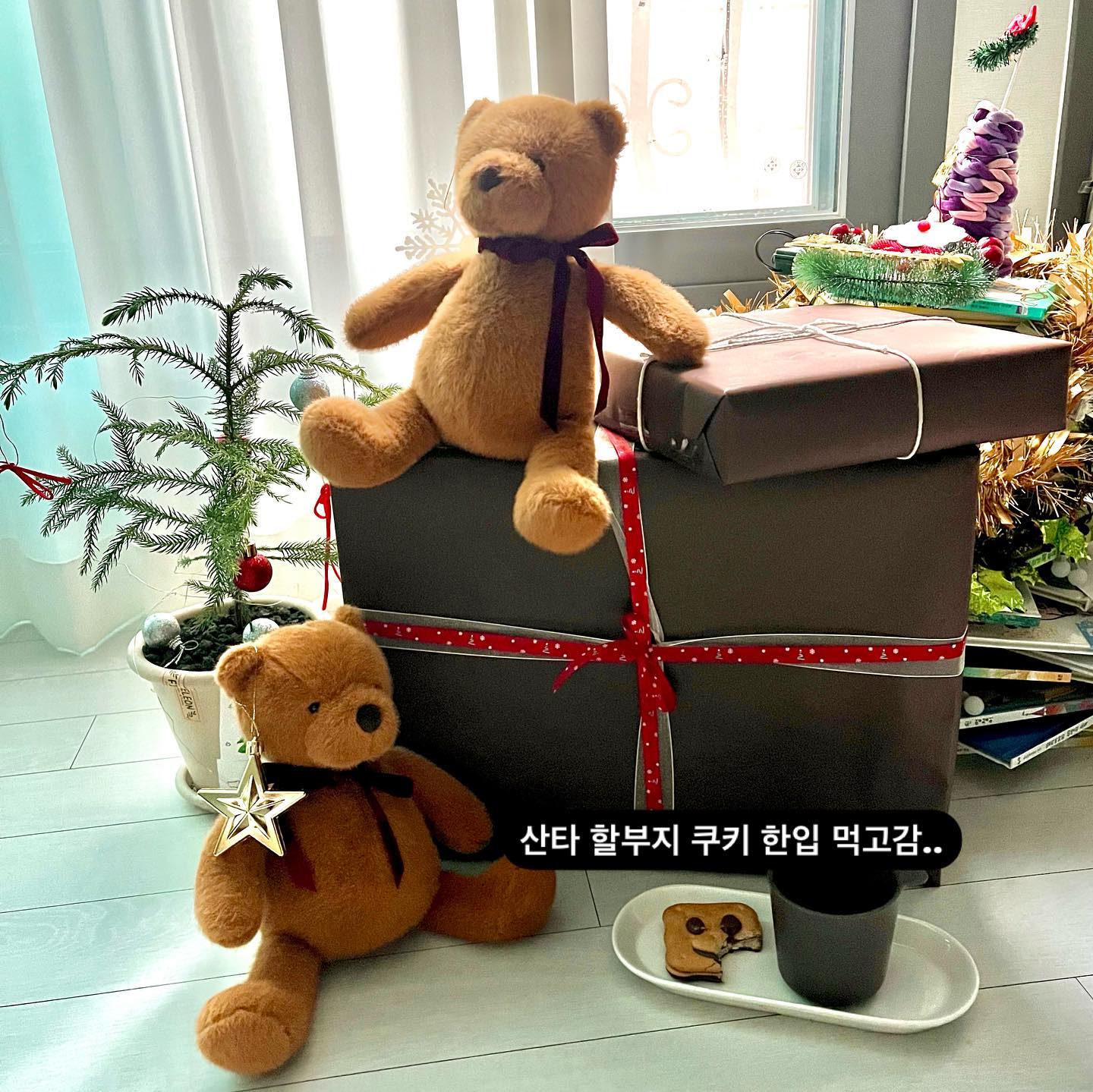 크리스마스 하매 끝났나…
#2024크리스마스
#메리크리스마스