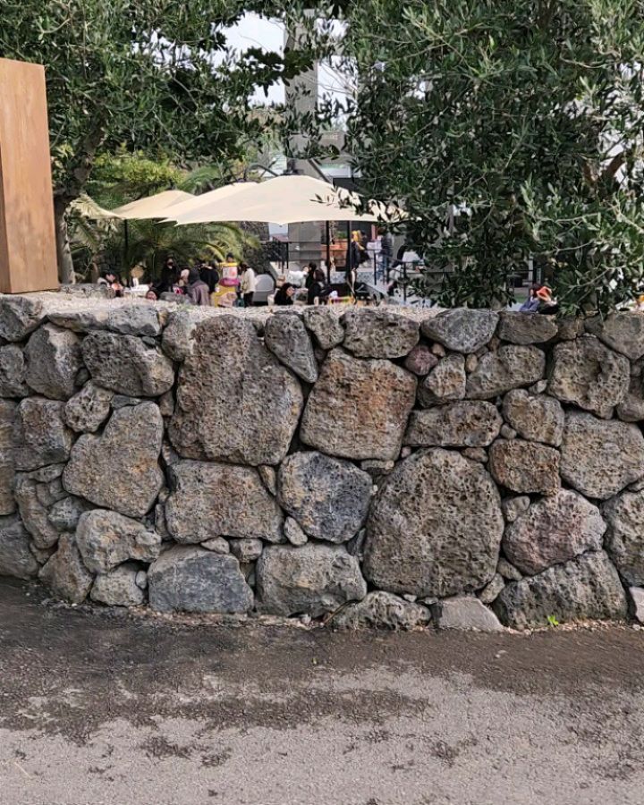 뭐야 입구에서부터 흥겨운 뮤직. 클럽인줄 ㅋㅋㅋ✨️
jejuoneandonly 
#제주여행 #제주유채꽃 #유채꽃명소 #유채꽃 #원앤온리 #산방산 #산방산카페 #산방산유채꽃 #산방산맛집 #산방산근처맛집