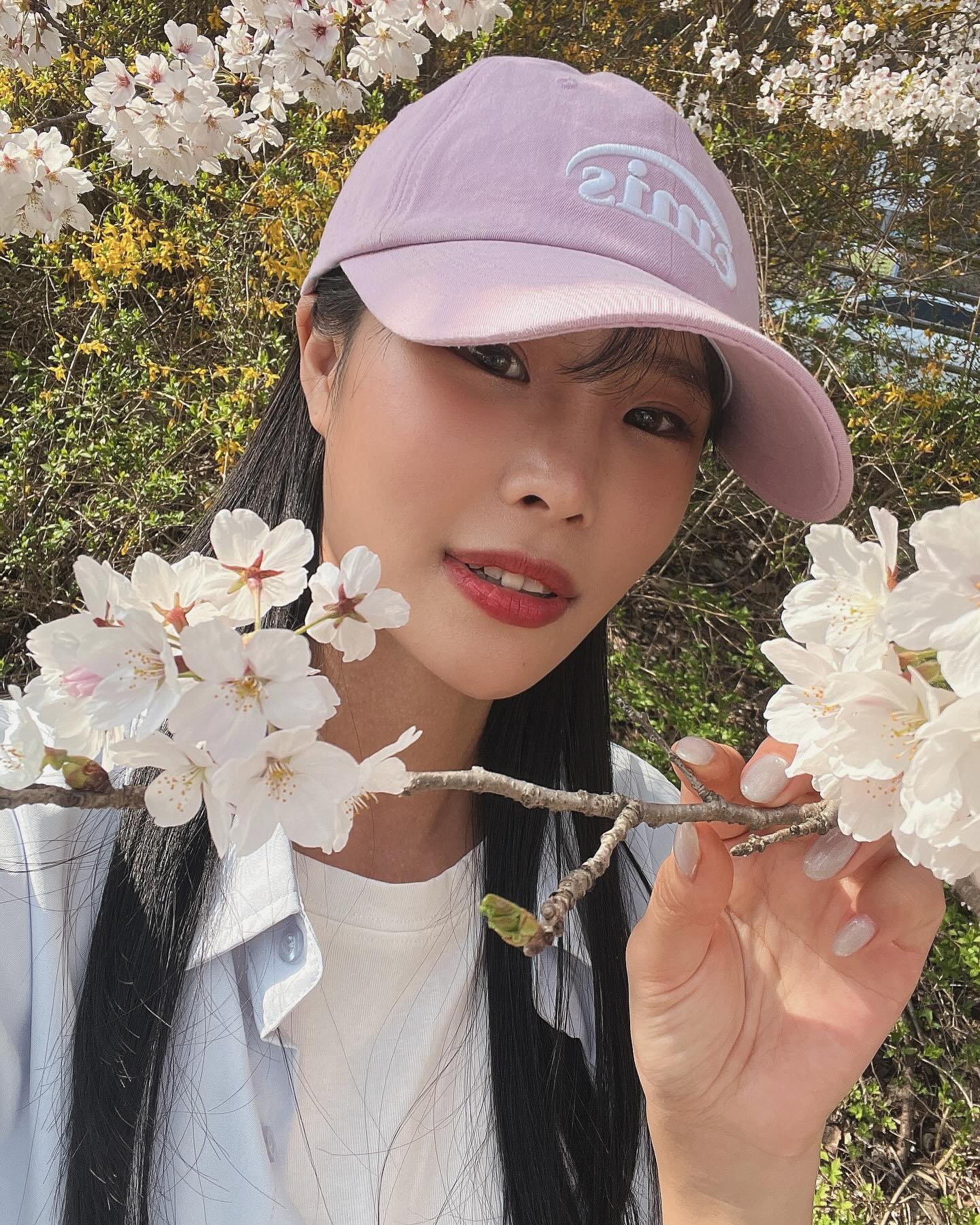 벚꽃 몰아보기🌸🌸🌸
