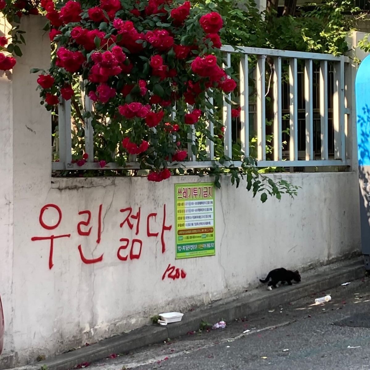 온새미로