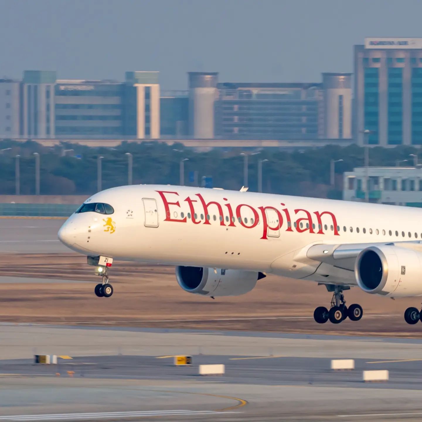 Ethiopian Airlines A359
----------------------------------------------------------
✈️ Airbus A350-941
🛬 RKSI - Incheon Int'l Airport
🇪🇹 fly.ethiopian
----------------------------------------------------------
#Ethiopia #Ethiopan #EthiopianAirlines #A359 #A350 #A350941 #A350Lovers #Airbus #AirbusLovers #사진 #Photography #비행기 #Airplane #취미 #Hobby #항공덕후 #항덕 #덕후 #aviation #aviationlovers #aviationspotter #RKSI #Incheoninternationalairport #aviationphotography #airplanephotography #avgeek #airplanelovers #aviationgeek