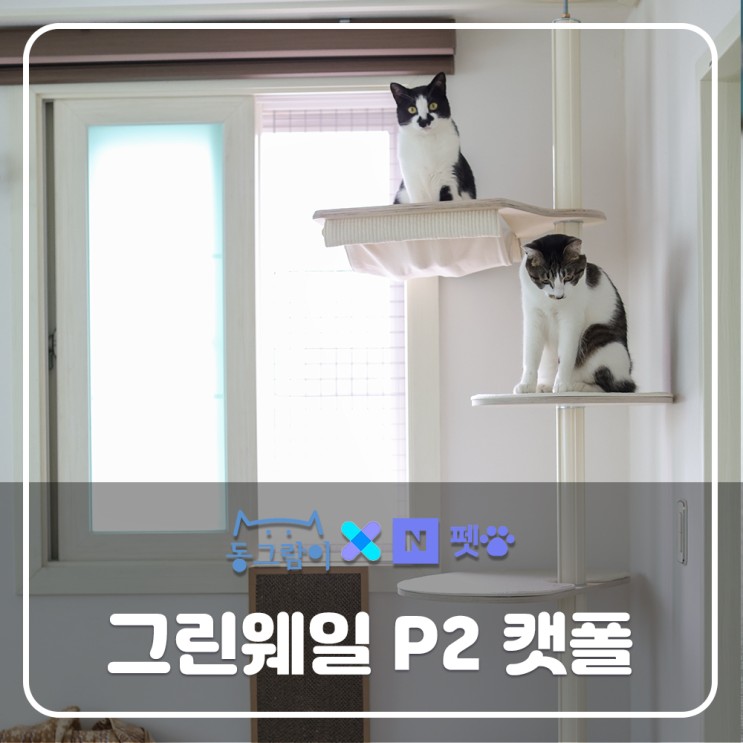 네이버펫 그린웨일 P2 캣폴로 안전하고 여유로운 고양이 수직공간을 마련해줘요