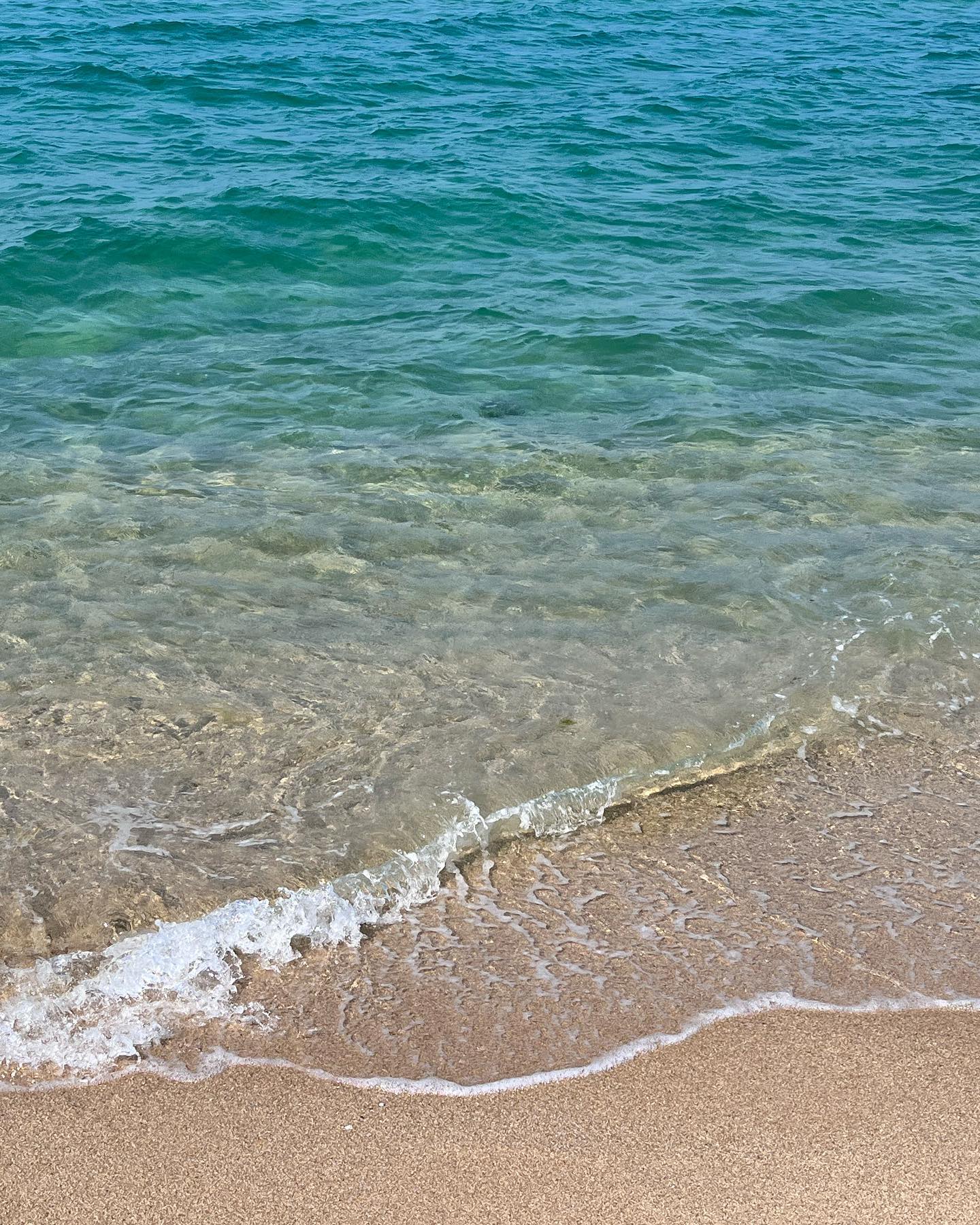 🌊