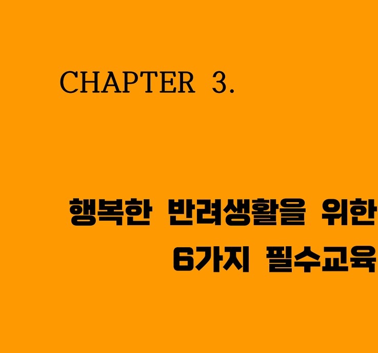 #업체로부터제공받은제품입니다 

루루 키우면서
훈련기 최고 고비인데

견생 공략집 전자책을 읽으며
하나씩 실천해 봅니다!

매너견이 되는 그날까지 : )

#강아지키우기 #강아지키우는법 #강아지훈련 #강아지교육 #아기강아지 #퍼피 #강아지집양 #강아지용품 #애견용품 #리루크 #비숑프리제 #댕댕맘 #댕댕육아 #댕댕교육 #강아지그램 #강아지일상 #소통 #제주