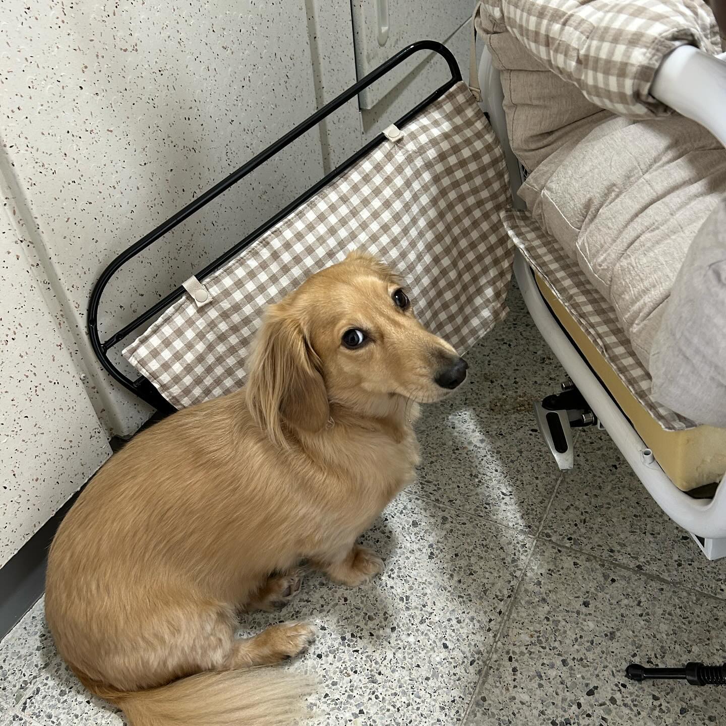 🐶 나 안태오죠? 
빨래해서 끼우기만 하는데 따라 나오심 ,,
