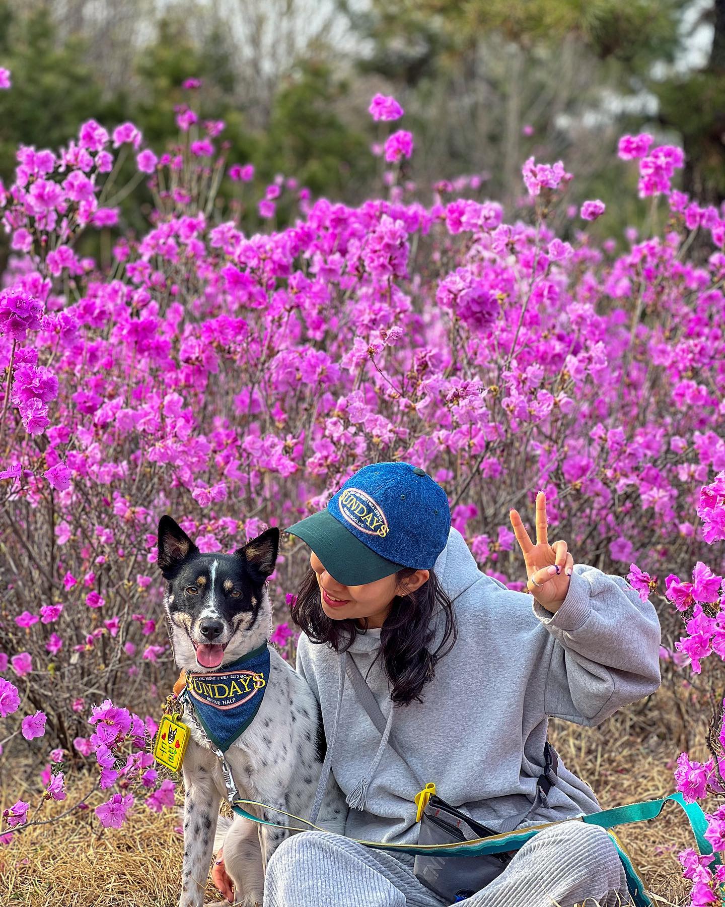 꽃개샷 스타뜨 🌸

오늘 순찰대 시험보고 오는길에 동네 진달래길에서 한컷
나는 맨날 산책하는 길인데 이거 보러 사람들 엄청시리 왔드라구!

우리동네 꽃 맛집인데
북서울 논너오면 나 불러 칭구드라 ( ˃᷄˶˶̫˶˂᷅ ) 💗

#순찰대하고싶다