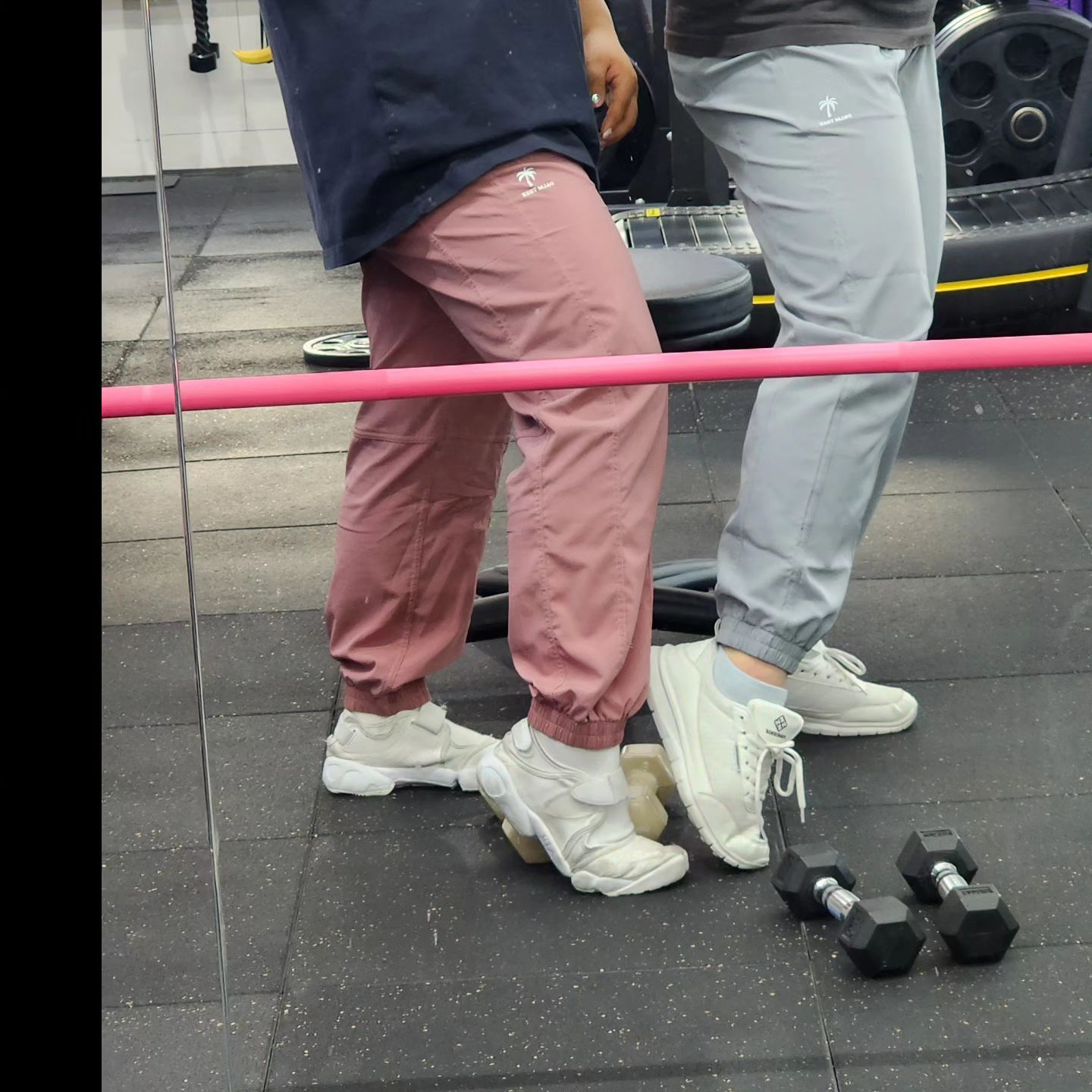 내가 만든 팜트리🌴
부산과 울산 제주도까지👐
내년부터 더 빡시게 가보자🫠🫰