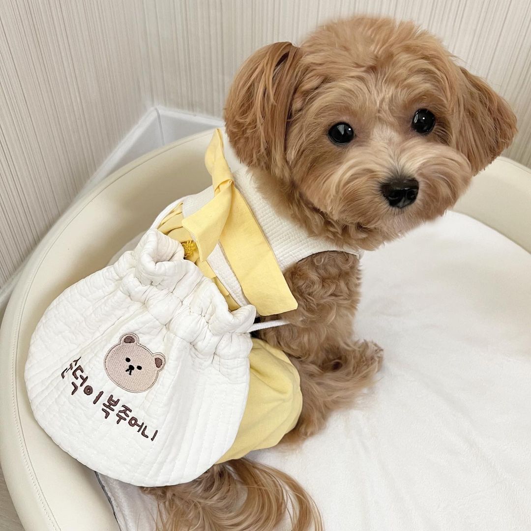 순덕앤소미 on Instagram: “#협찬 #제품제공 나 김순덕 복주머니 장만해서 설날준비 끝!! 예쁜 자수에다가 이름도 새겨주니 넘 조챠나😆 귀여움 두배 장착해서 용돈이랑 까까 마니 받아야지