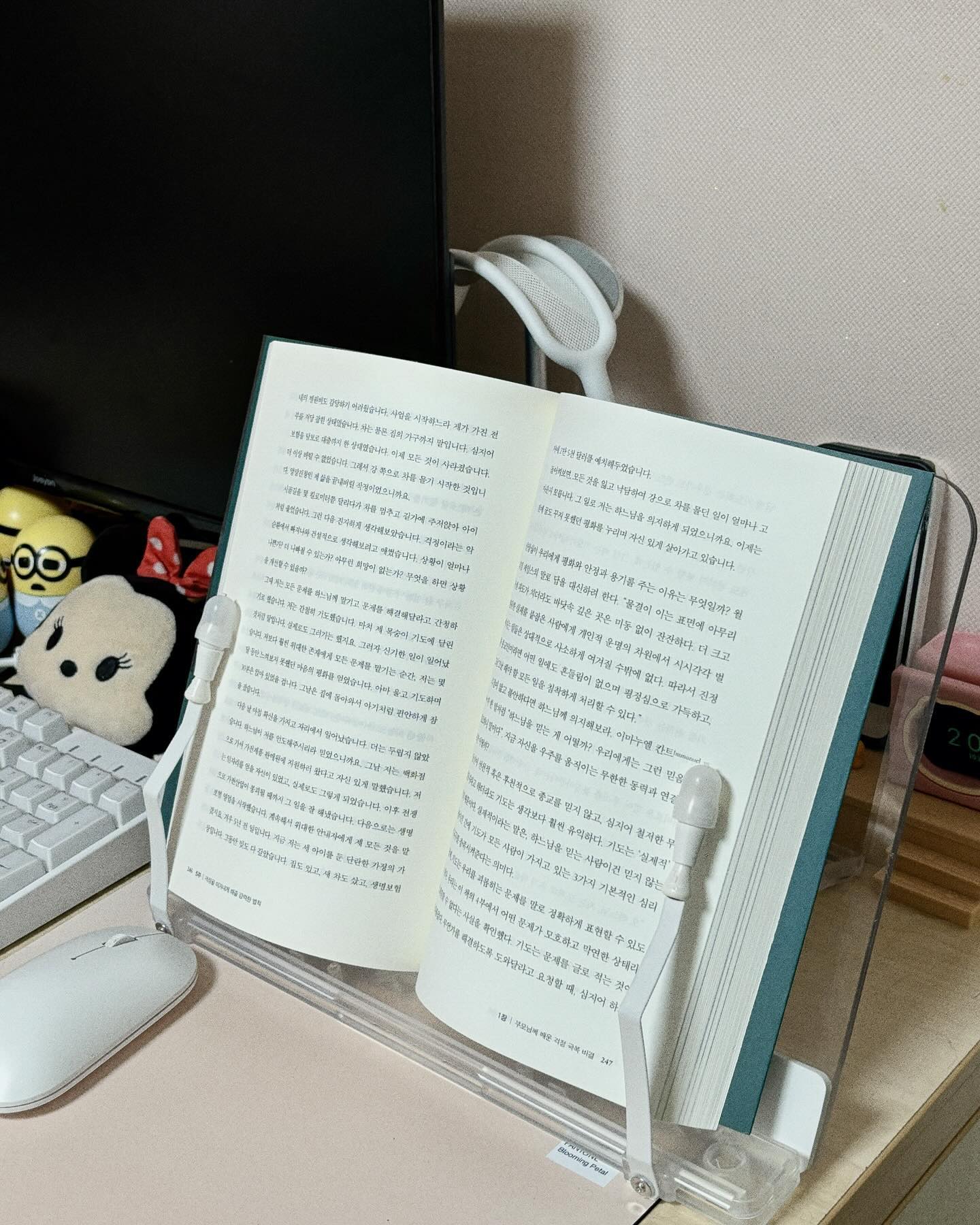 #협찬
요즘 너무 잘 사용중인 힐링쉴드 독서대 📖
책 뿐만이 아니라 타블렛 받침대로도 사용 가능 🤍

여러 브랜드 제품 많이 써봤지만
힐링쉴드가 가장 가성비 좋고 가벼워서
휴대용으로도 가지고다니기 편하다 :)

초록우산 어린이재단 기부활동을 하며
국내에서 가장 큰 디지털 디바이스 필름&악세사리
전문 회사여서 그런지
 A/S 평생 제공까지 ! (재구매 할인 50%, 30%) 

🔗 http://www.pontree.co.kr/board/board.html?code=crom3692_board9
.
.
.
#독서대 #책받침대 #북스탠드 #초경량 독서대 #힐링쉴드독서대 #독서대추천 #휴대용독서대 #도서관독서대 #각도조절독서대 #학생독서대추천 #책받침대 #가성비독서대 #독서대선물 #도서용품 #도서선물 #선물 #학생선물