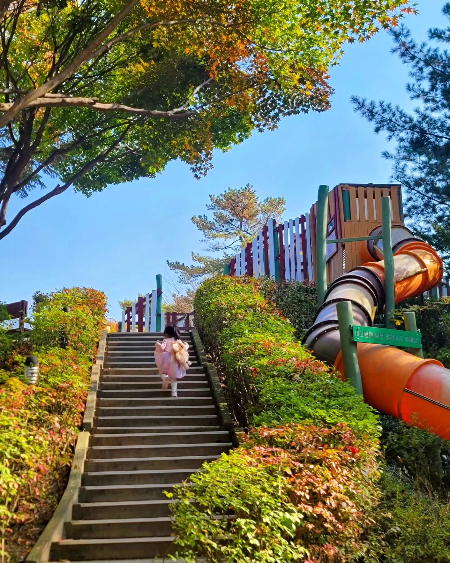 서울대공원 🍁

우리의 가을 

알록달록 예쁜 풍경고ㅏ
언제봐도 신기한 동물들고ㅏ
사랑스러움이 넘쳐흐르는 너희둘고ㅏ
꽁냥꽁냥 아직도 재미진 우리둘 

이 큰 동물원을 
유모차없이 다 걸어준 
4살 공주님 💓

처음해보는 것이 많았던 딸랑구는
가장 행복했던 날임을
얼굴로 몸짓으로 말투로 표현했다 😊

9살의 발걸음도
4살의 발걸음도 
잘 맞춰 걸어가보자 🩵💚❤💜