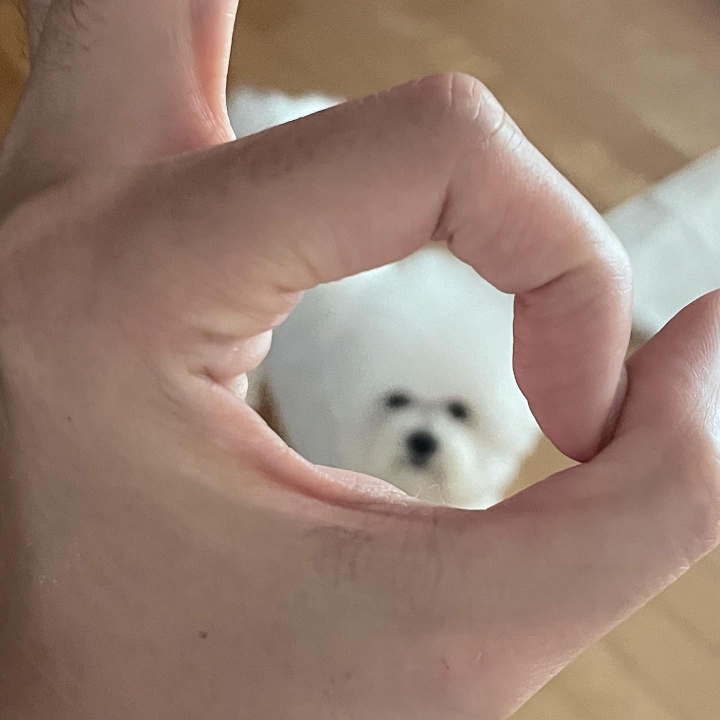 우리집 동그라미⚪️➿🤍