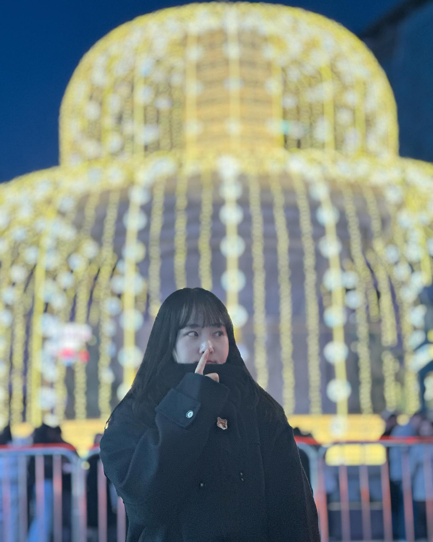 까마귀🪩🐦‍⬛