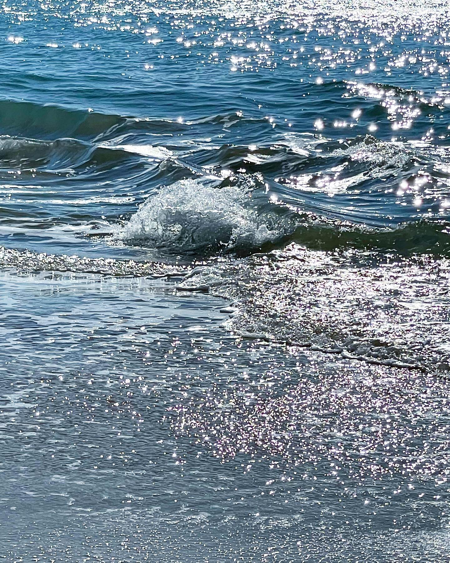 저마다 빛나는 오늘을 향해 🌊✨