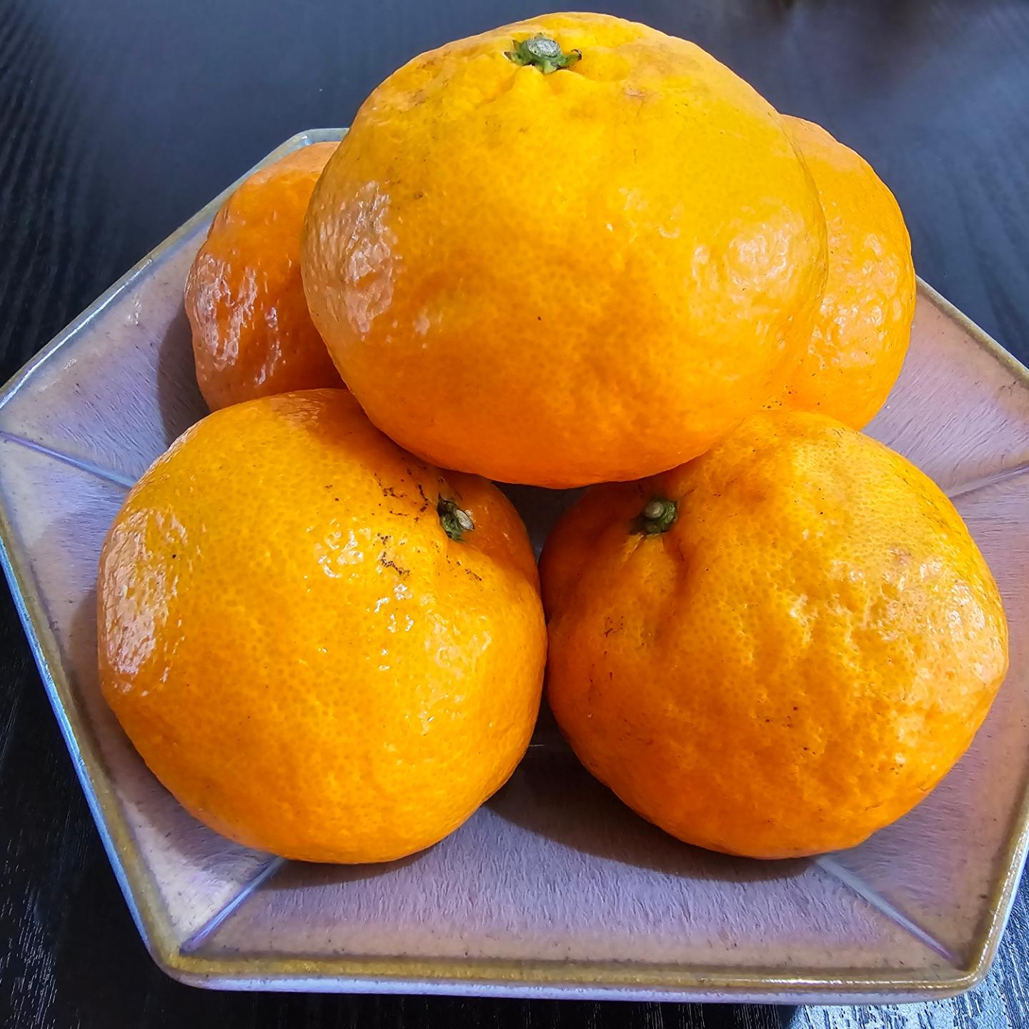 제주 카라향 제철 맞아 갓딴귤에서 주문해보았습니다
상큼달달하니 맛나네요 ㅎㅎ

#재택알바 #부업,재택부업 #부업사이트 #재택부업사이트 #집에서할수있는부업 #투잡알바 #집에서하는부업 #모바일부업 #개인부업 #온라인부업 #갓딴귤 #카라향 #카라향제철 #과일선물세트 #제주카라향 #선물세트 #제주도카라향 #카라향선물세트 #카라향3KG #카라향5KG #카라향10KG #못난이 #제철과일 #명절선물 #협찬