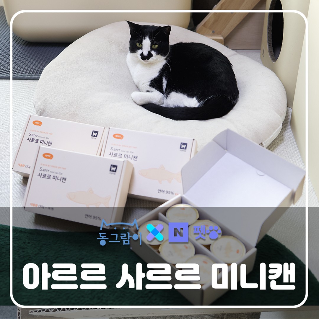 #협찬 #아르르 #네이버펫 #네이버펫앰배서더 #사르르캔

저희집 끔추는 동배자매묘이지만 판이하게 다른 식성을 갖고 있어요.

소금이는 습식 생선파
후추는 건사료 가금류파

그런 두녀석이 유일하게 함께 공유하는 간식캔이 있었으니...

바로 아르르의 사르르미니캔 캣!! 연어!!

츄르도 트릿도 같은 브랜드라도 좋아하는 맛이 달라서 꼭 2종류씩 샀어야 했는데
아르르사르르캔만은 연어맛을 동일하게 너무 잘먹어줘서 낭비없이 이렇게 쟁일 수 있어요

95%의 육류와 5%의 필수영양소!!
깔끔하게 뺄건빼고 더할건 더해서 더없이 안심되는 아르르의 사르르 미니캔!!

2년넘게 급여하는동안 그사이 주식캔들은 질려서 앞발털기도 하고 잘먹던걸 안먹어 또 당근하기도 했지만 사르르캔만은 질림없이 아직도 두녀석다 꾸준히 잘먹어줘서

이번 네이버스마트스토어 1+1행사에서 아주 그득히 질렀답니다.

맛도좋고
성분도좋고
음수량도 챙기고
집사점수도 딸 수 있는

맛있는 간식캔!!
아르르 사르르 미니캔 캣!!

다양한 맛들이 구비되어 있으니 입맛에 맞게 한번 쟁여보시는건 어떨까요?