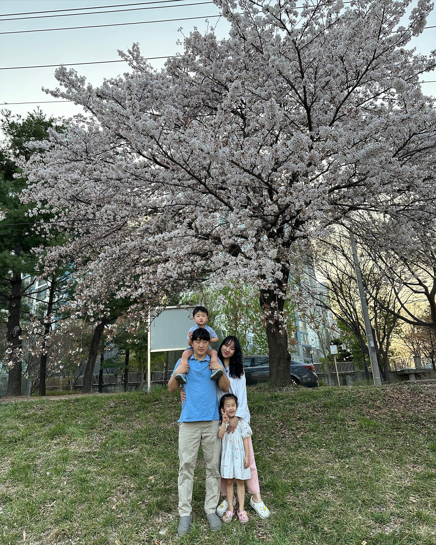 🌸아이들과 함께 한 꽃구경🌸
무서우리만큼 커가는 아이들과 함께 한 꽃구경 💓
딴짓하다가도 사진찍자 김치~ 하면 재빨리 포즈 취하는 뚜림&뚜기 💗
그러다가 장난기발동하면 수십번 말해도 뒤돌아서거나 얼굴을 가리는 장꾸들 💖

 봄이 온지 얼마 안됐는데 벌써 꽃잎이 떨어지는 걸 보면, 우리 아이들도 금방 크겠지 싶어 더 좋은 곳에 데려가고 맛있는거 먹게 해주고 싶은 마음을 우리 수림이는 100% 이해하는 듯,
 집으로 돌아가는 길에도, 어린이집에서도 행복했다고 정말 재미있었다고 그 상황을 자세히 이야기한다

육아가 힘들지 않다고 말 할 수 없지만 아이들에게서 오는 행복은 엄청 크게 다가온다

오랜만에 피드를 올리려니 일기장이 되었네 🤣
일기 끝 ☺️