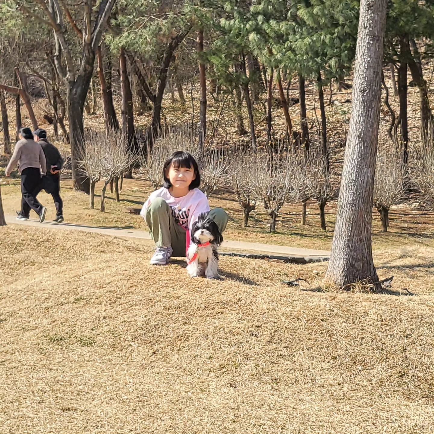 #날이좋아서
#산책
#젖소랑
