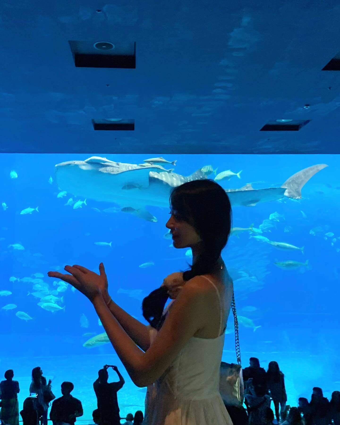:)
이때까지 본 수족관 중에 가장 아름답고 웅장했지만....🩵
한편으로는 마음이 너무 아팠던 #츄라우미수족관 🐳🐡🐢🪸
#오키나와 #고래상어 #바다거북