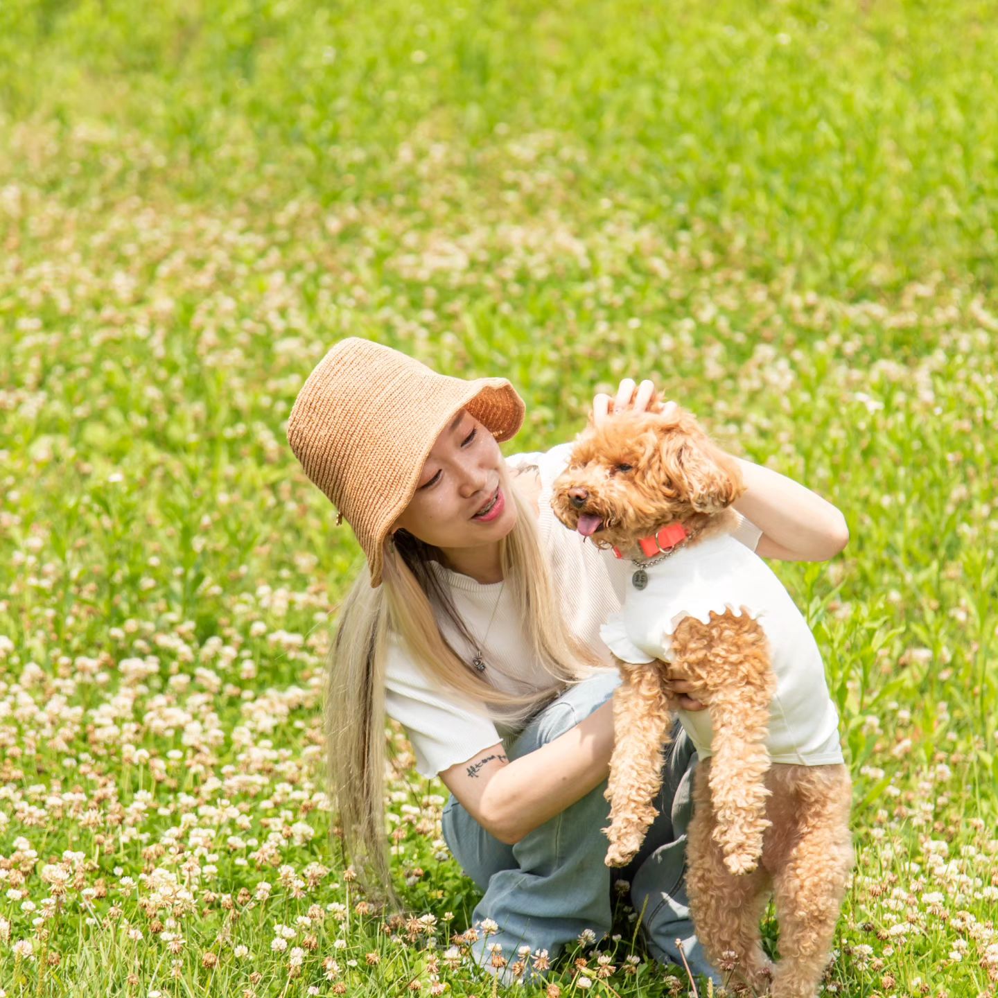 무보정 첫째둘째셋째 삼둥이🐩
kim_camera_insta_ 
#애견스냅 #일반인모델 #스냅촬영 #모델 #더워도 #참는 #프로모델 #프로견