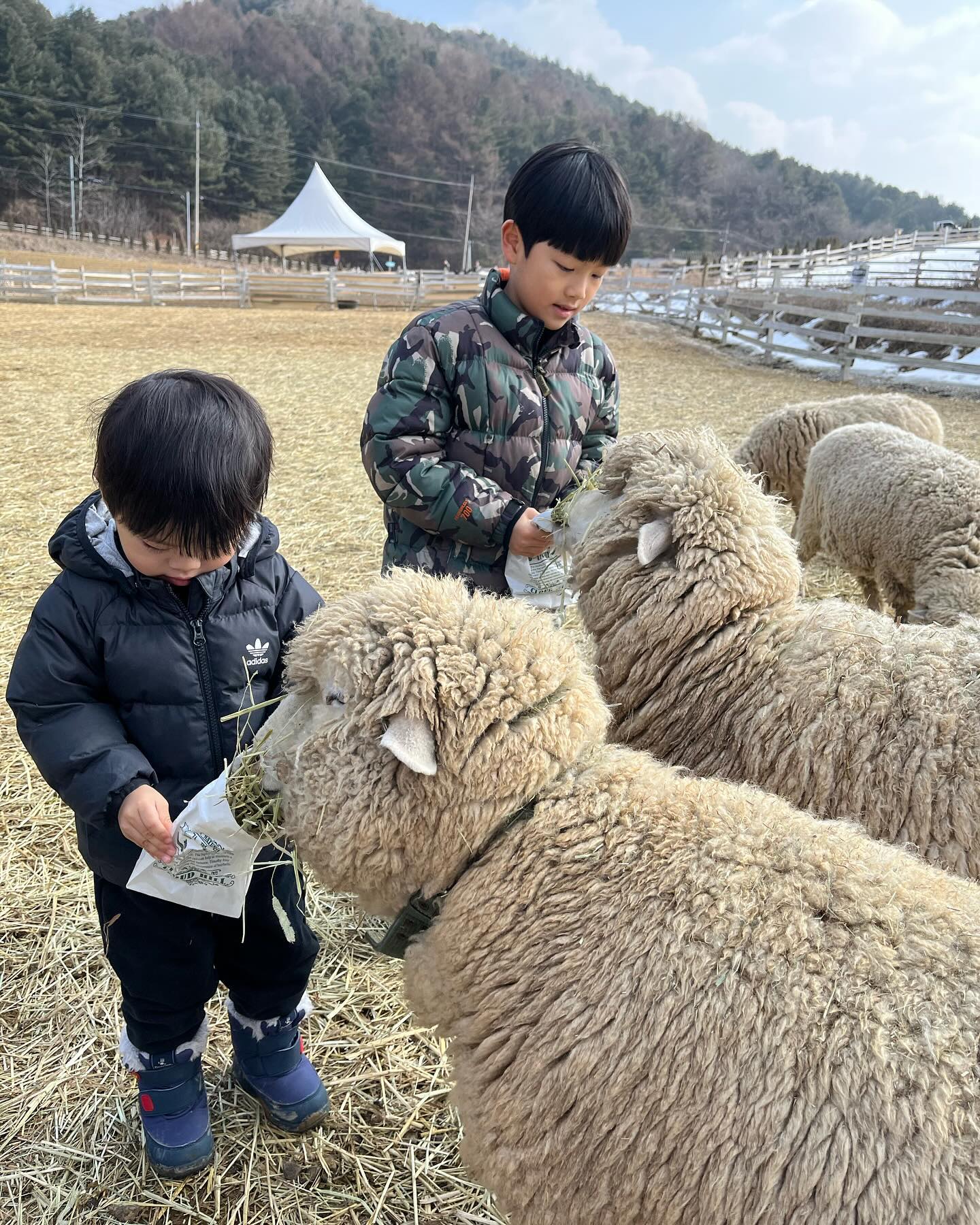0.5춘기 겪고있는 엉아는 사진도 잘안찍어줌..🥲