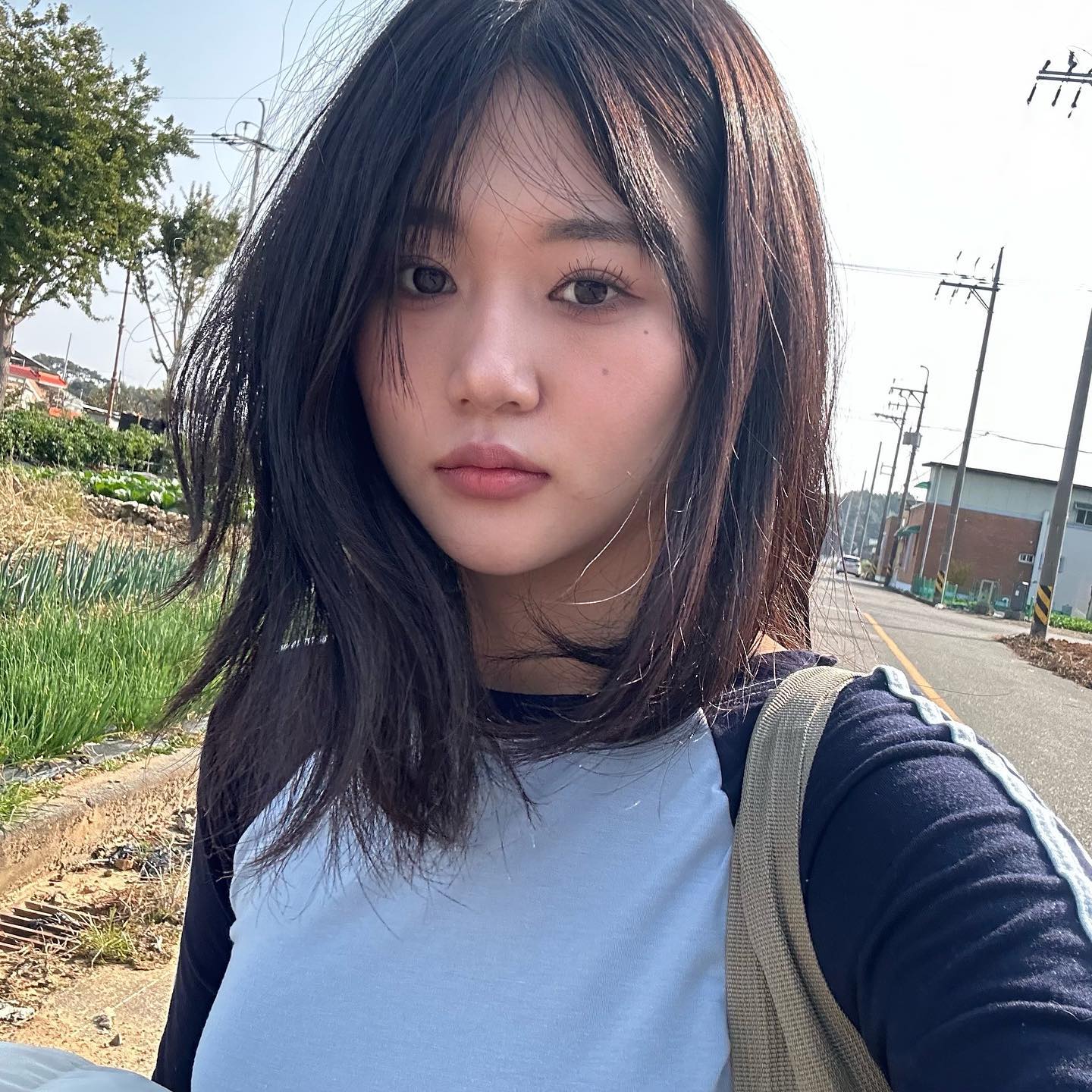콘텐츠