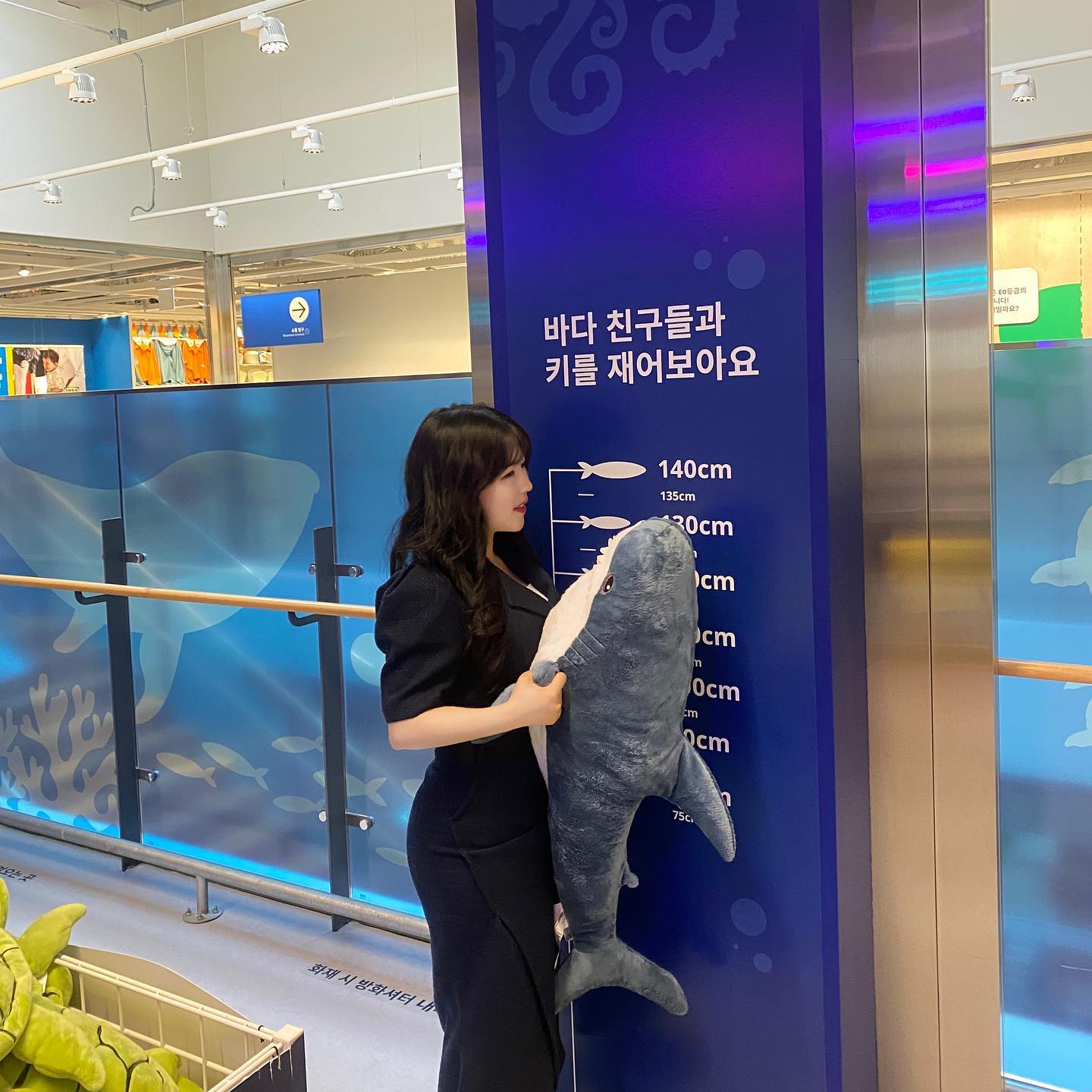 상어 친구🦈