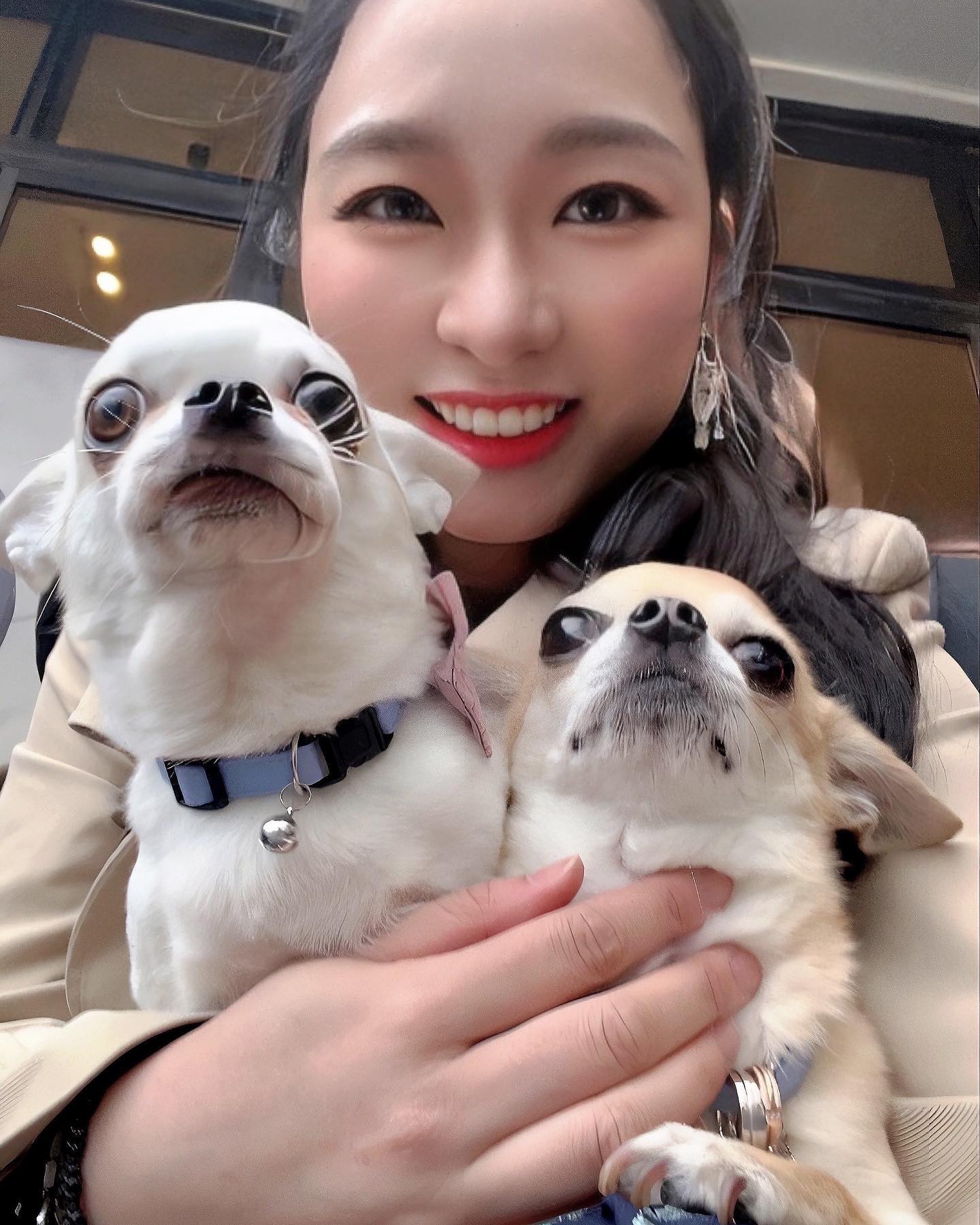 강아지 화동 두 마리🐶🐶
댕님들 모실 수 있어서 영광이었습니다😄

눈물바다가 되진 않을까 노심초사했던 결혼식
댕댕이들 대활약 덕분에 웃음바다로 시작🤣

#강아지화동 #치와와 #치와와그램 #치와와스타그램 #대전결혼식 #대전웨딩 #야외결혼식 #야외웨딩 #대전야외결혼식 #대전야외웨딩 #결혼스타그램 #강아지웨딩 #치와와는참지않긔 #치와와는사랑입니다